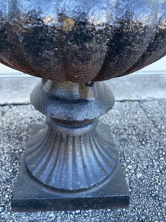 Antique English Cast Iron Urn Planters, Neoclassical Style, 1860s