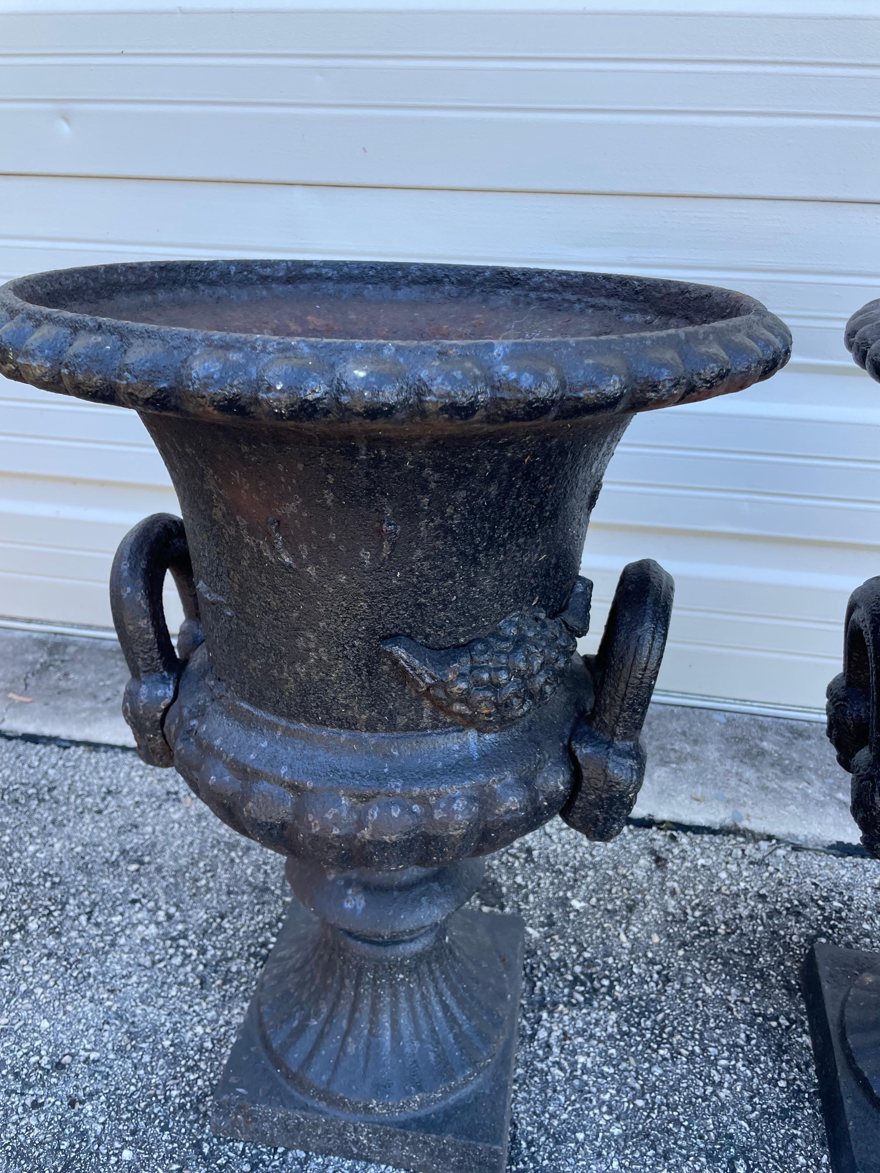 Neoclassico Coppia di fioriere a forma di urna in ghisa in vendita