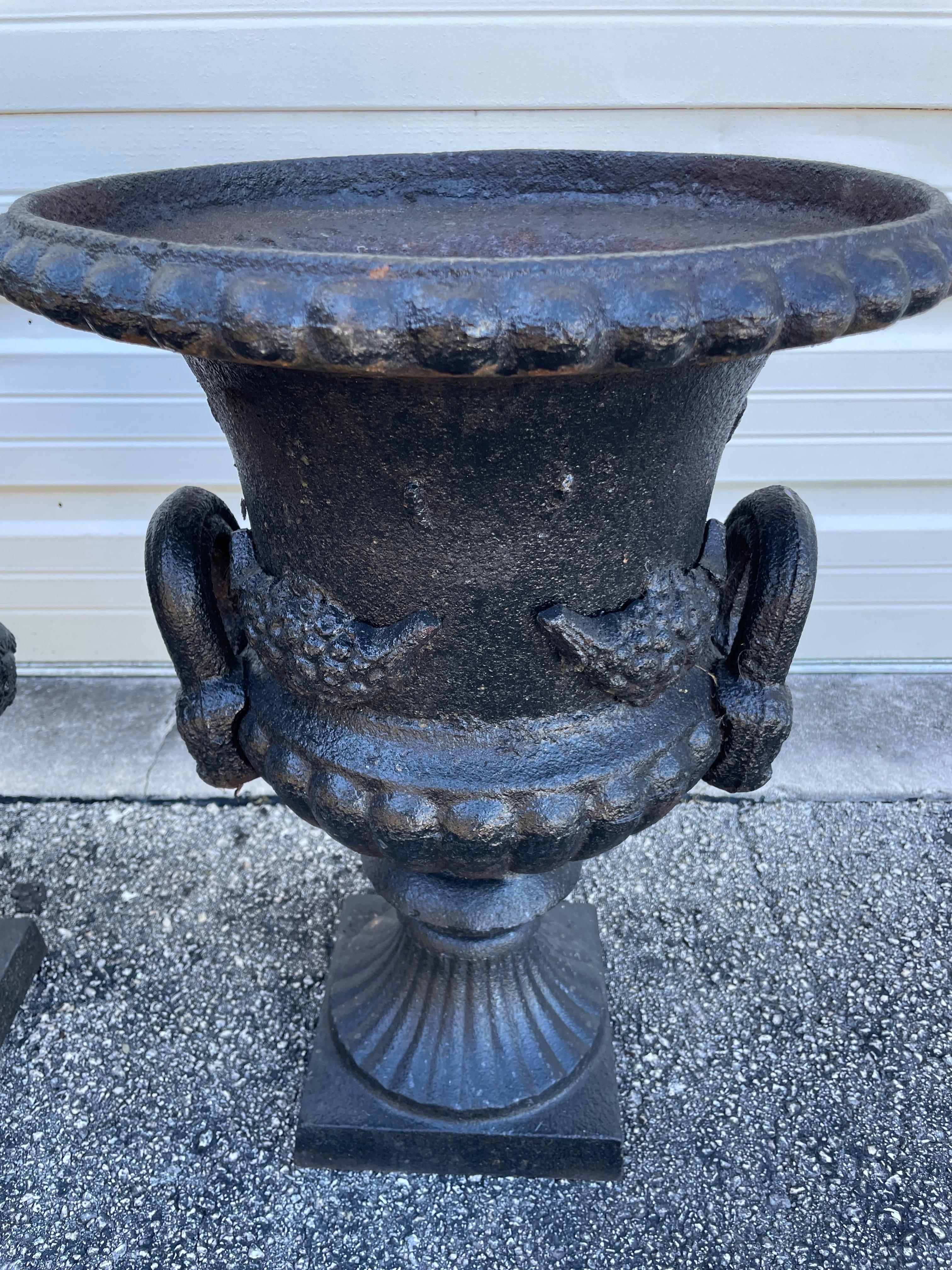 Inglese Coppia di fioriere a forma di urna in ghisa in vendita