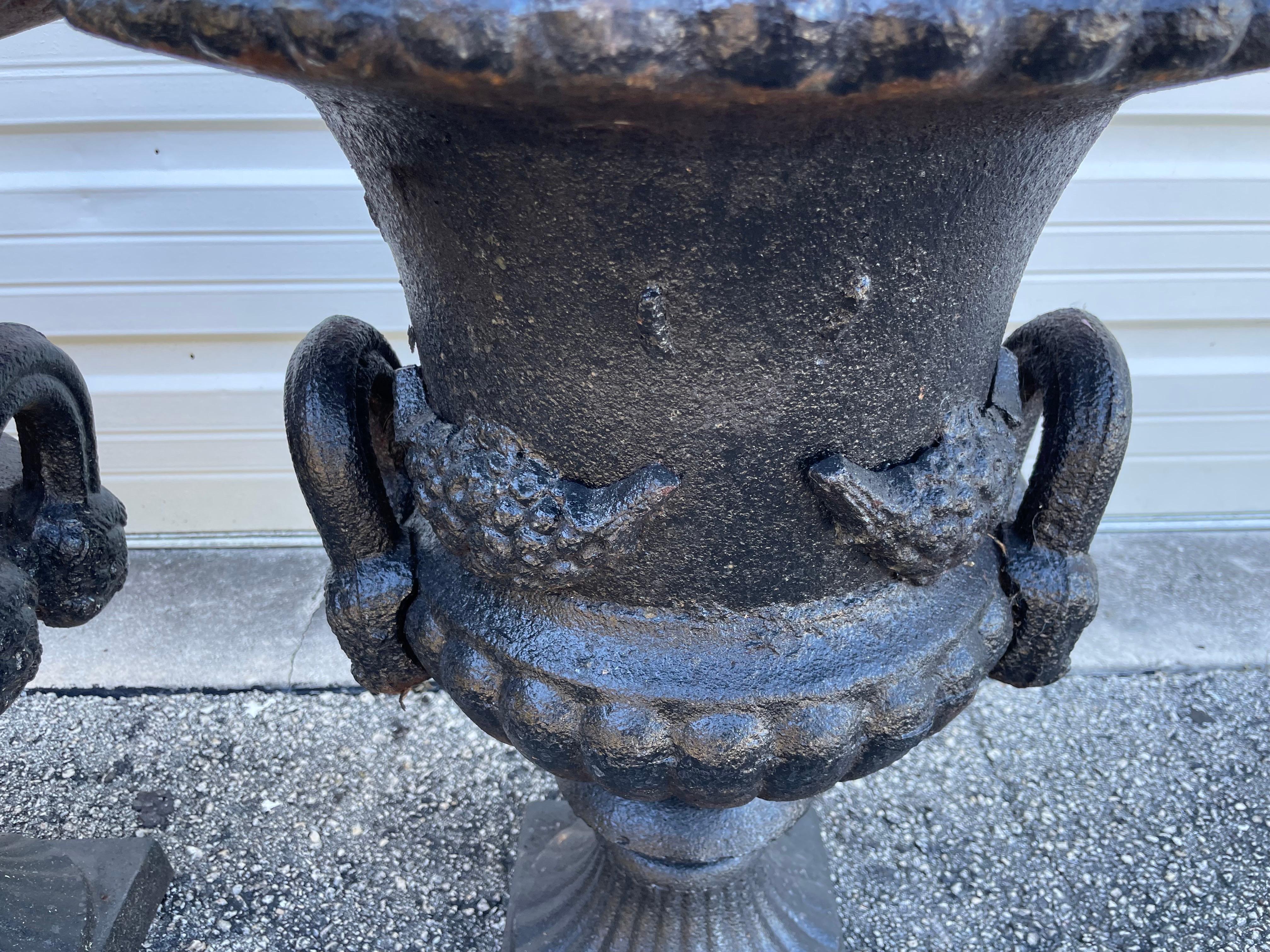 Coppia di fioriere a forma di urna in ghisa in vendita 2