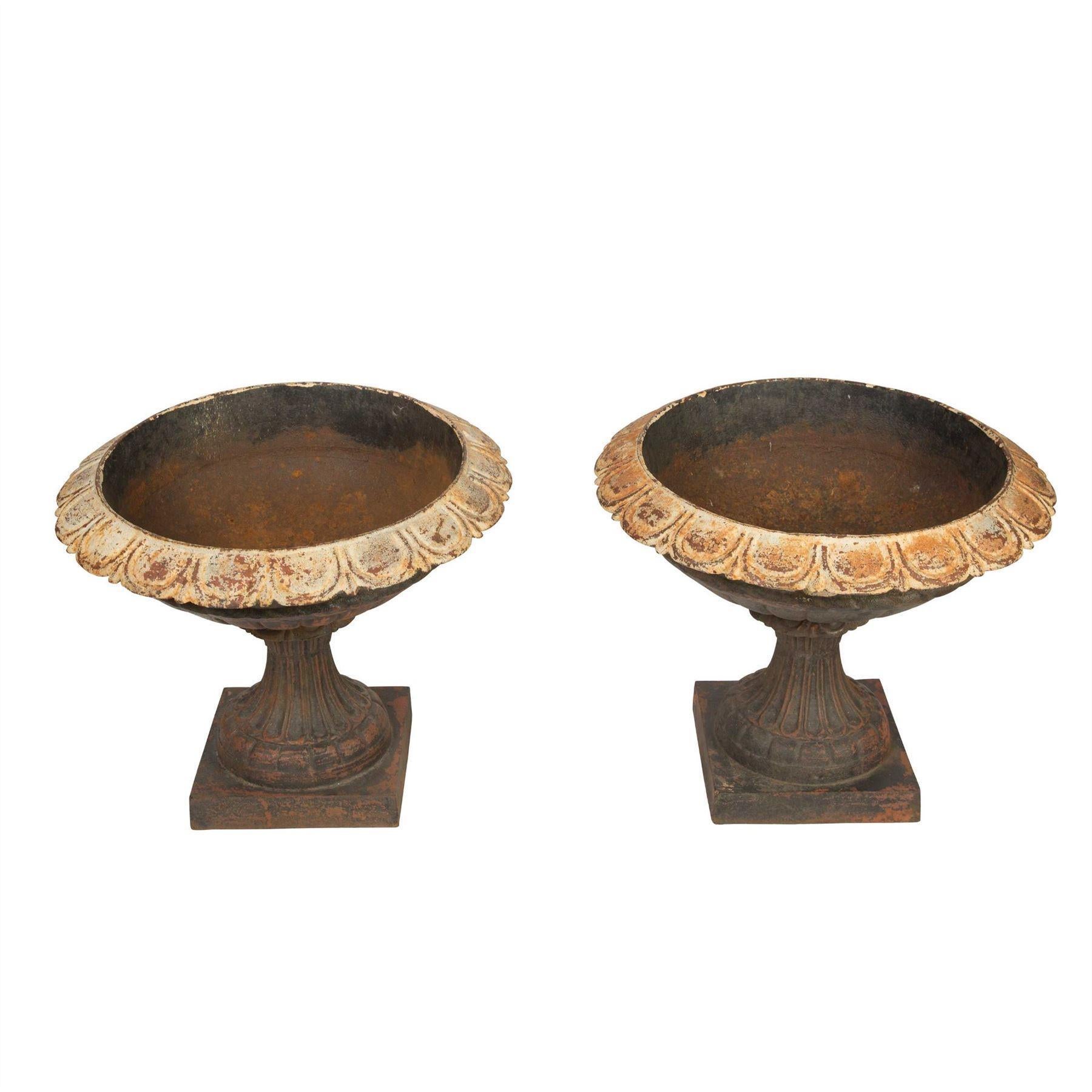 French Pair of Cast Iron Urns