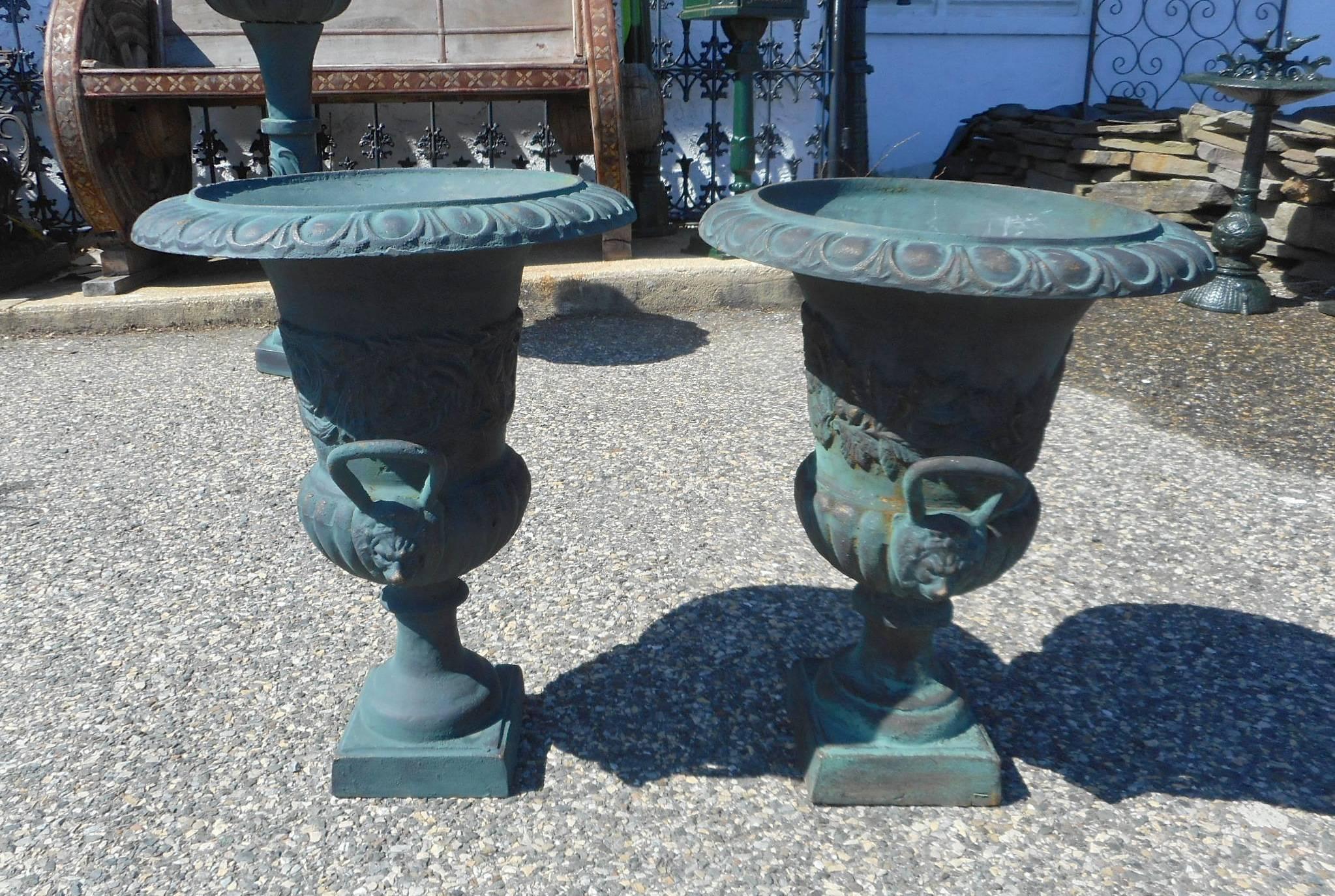 Pair of Cast Iron Urns 3