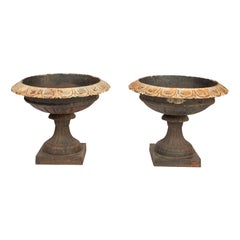 Pair of Cast Iron Urns