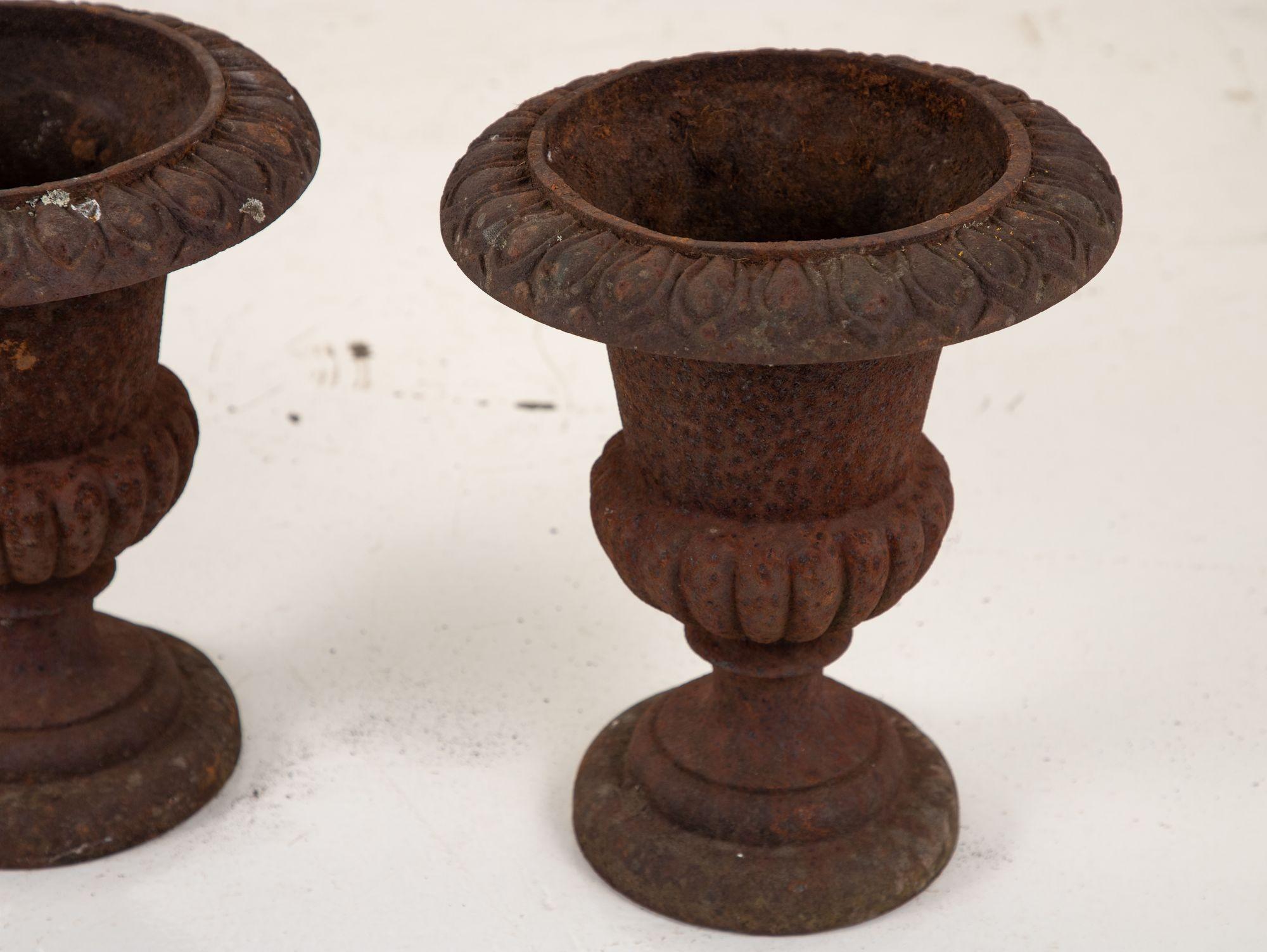 Pair of Cast Iron Urns, French, 19th Century For Sale 8