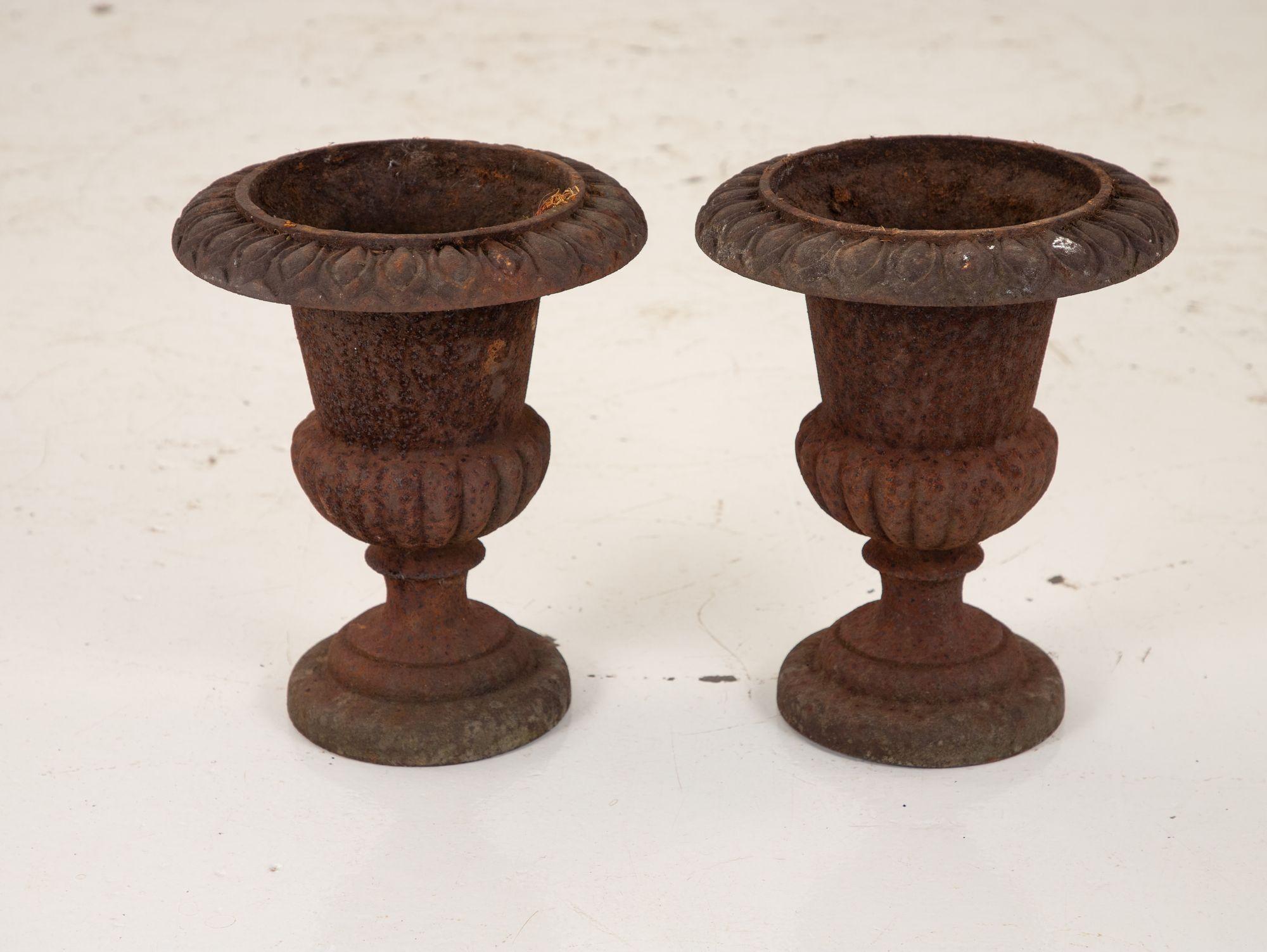 Pair of Cast Iron Urns, French, 19th Century For Sale 1