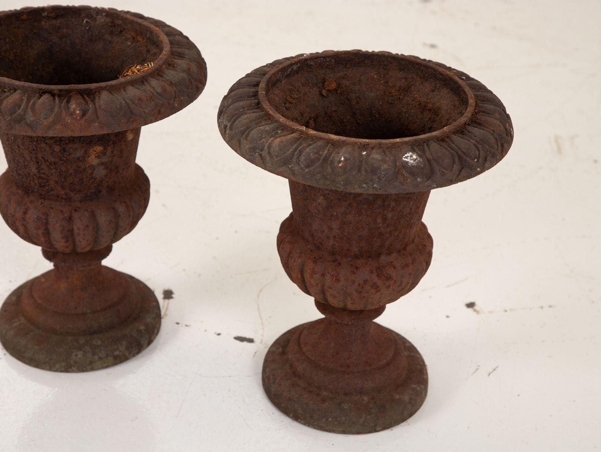 Pair of Cast Iron Urns, French, 19th Century For Sale 3
