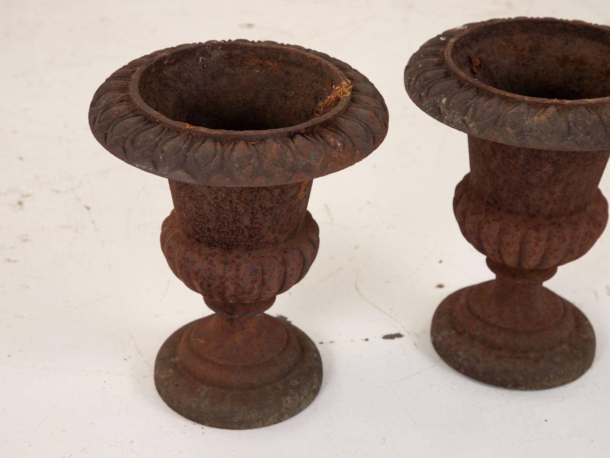 Pair of Cast Iron Urns, French, 19th Century For Sale 4