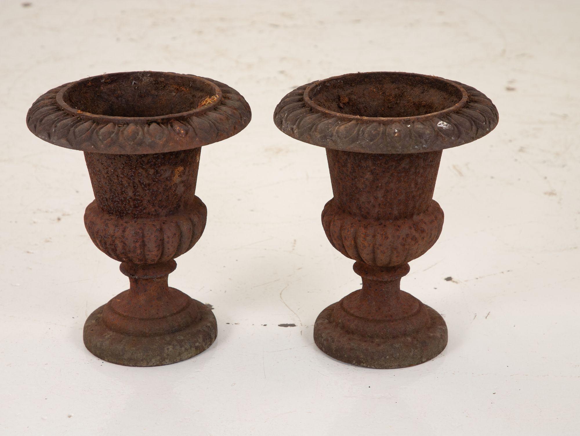 Pair of Cast Iron Urns, French, 19th Century For Sale 5