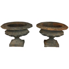 Pair of Cast Iron Urns or Jardinieres, Late 19th Century