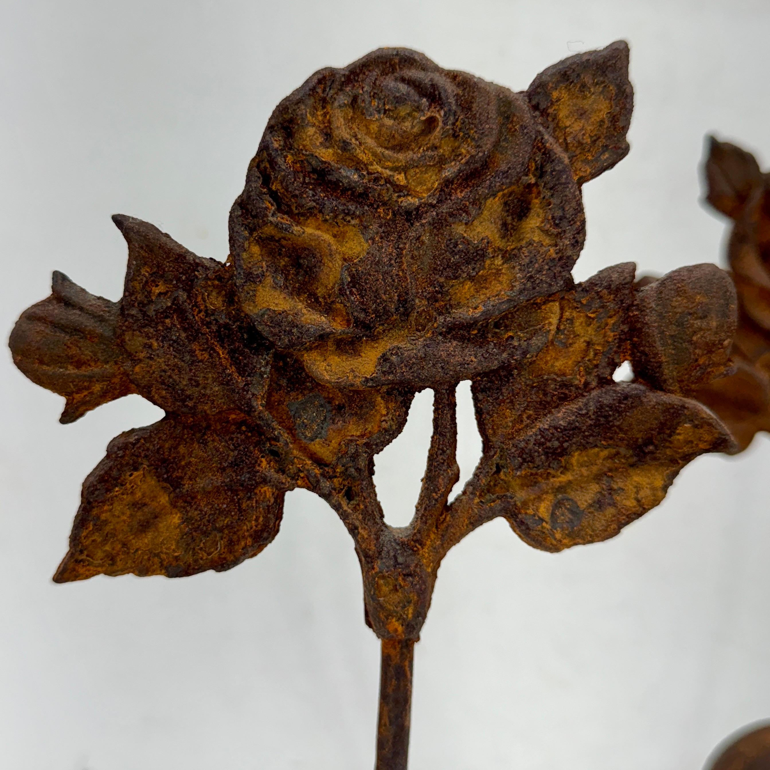 Pair of Cast of Iron Architectural Roses on Square Base For Sale 3
