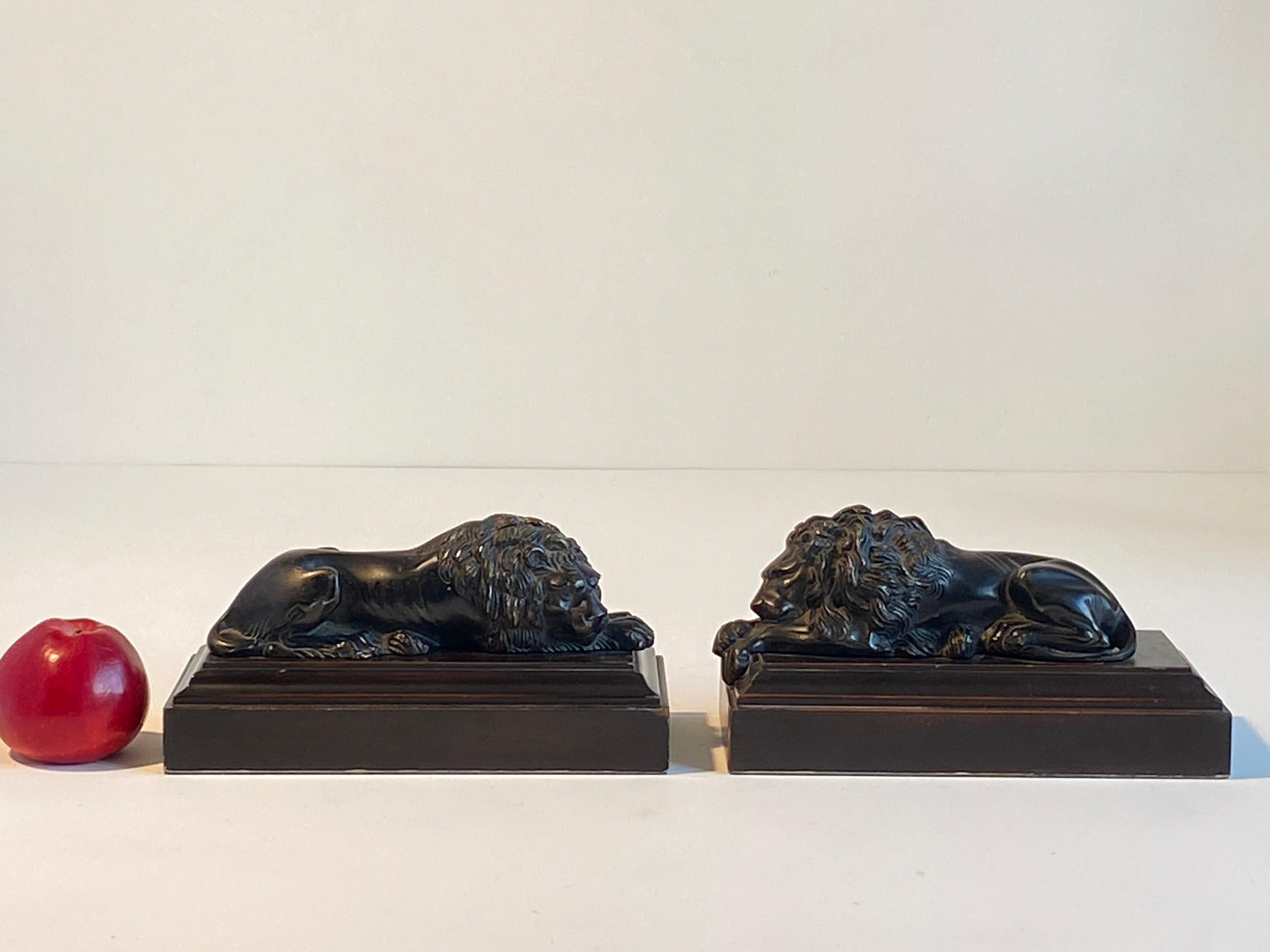 Paire de sculptures de lions en bronze coulé, d'après Antonio Canova, 19ème siècle en vente 6