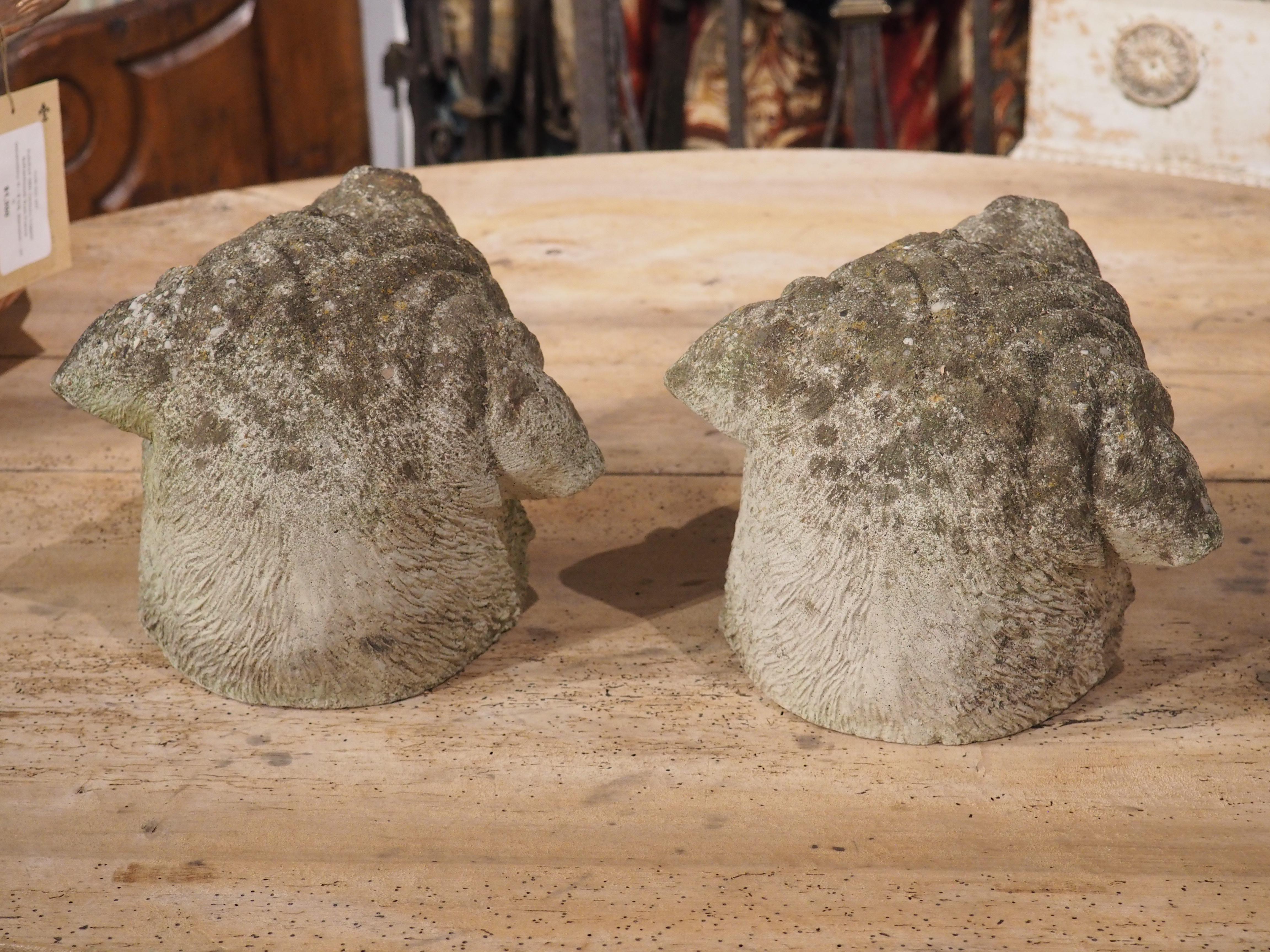 Pair of Cast Stone Dog Heads from England, Circa 1960s For Sale 9