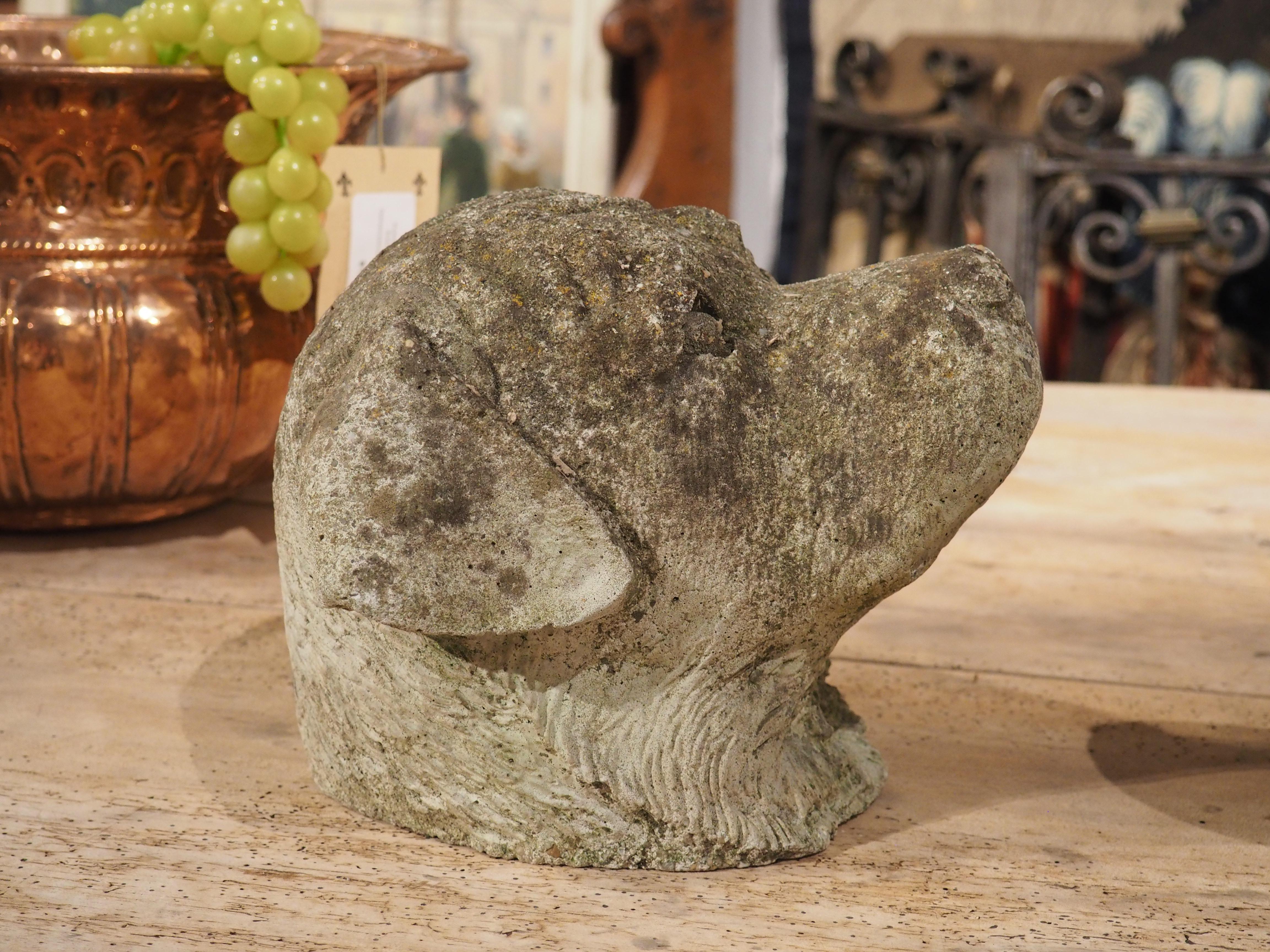 The perfect find for any dog or animal lover, this pair of cast stone dog heads originates from England. Crafted circa 1960s with meticulous attention to detail, these dog heads showcase a captivating blend of intricate features including a