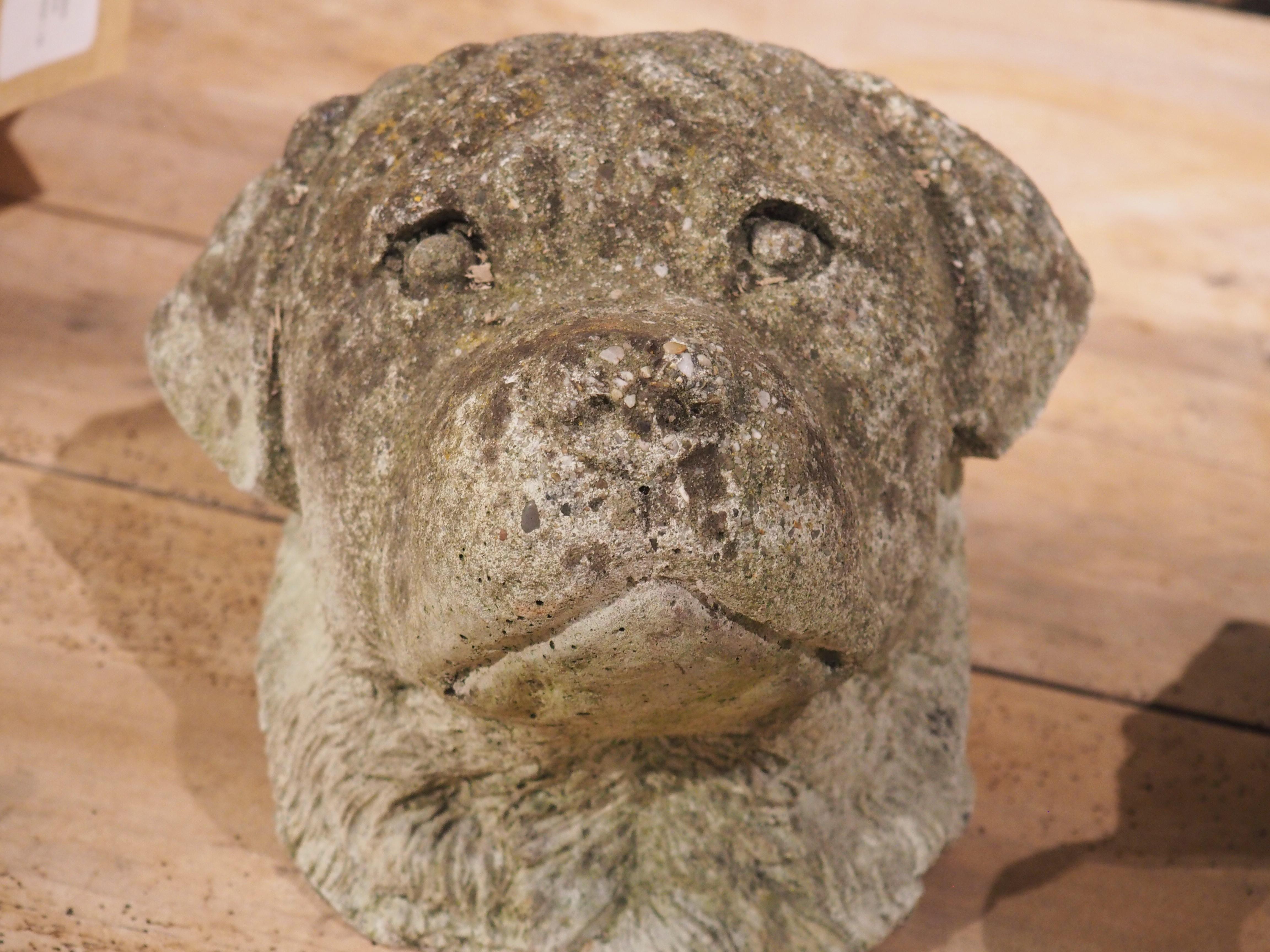 Mid-20th Century Pair of Cast Stone Dog Heads from England, Circa 1960s For Sale