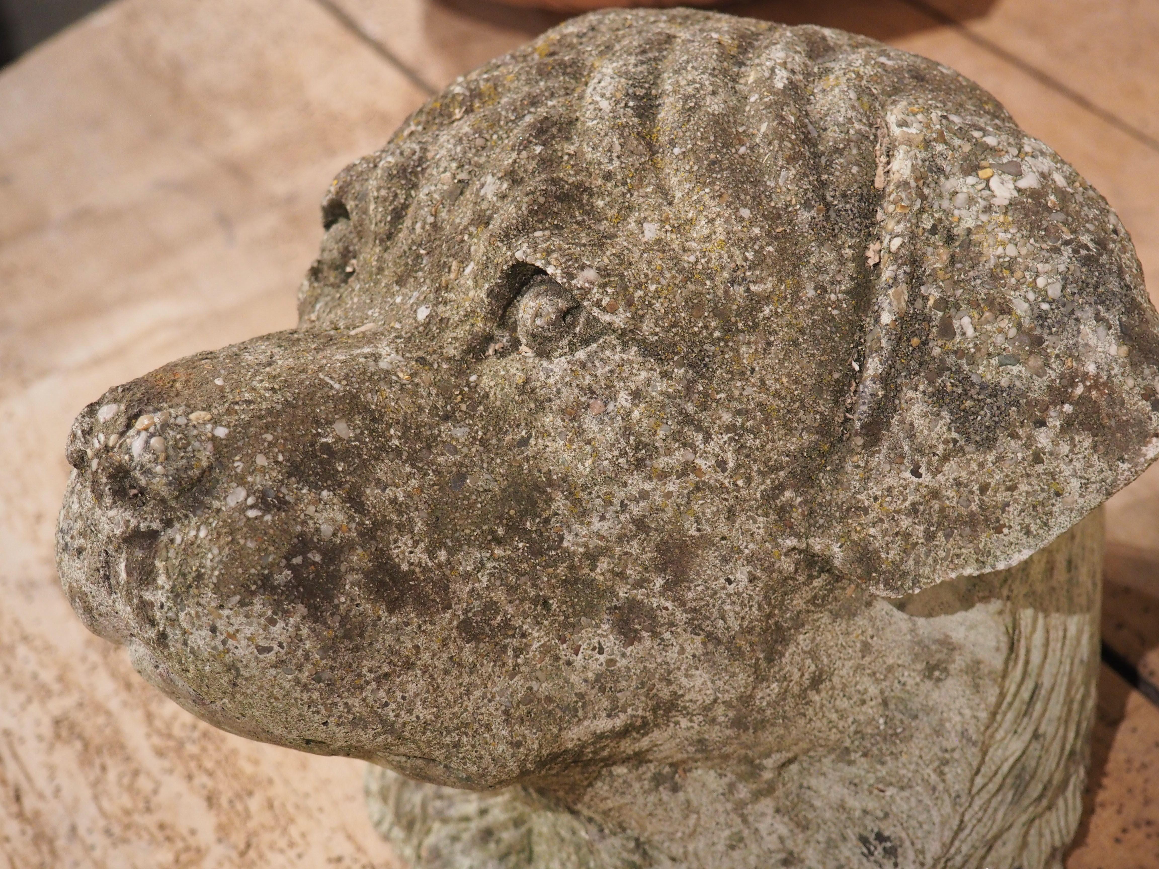 Pair of Cast Stone Dog Heads from England, Circa 1960s For Sale 2