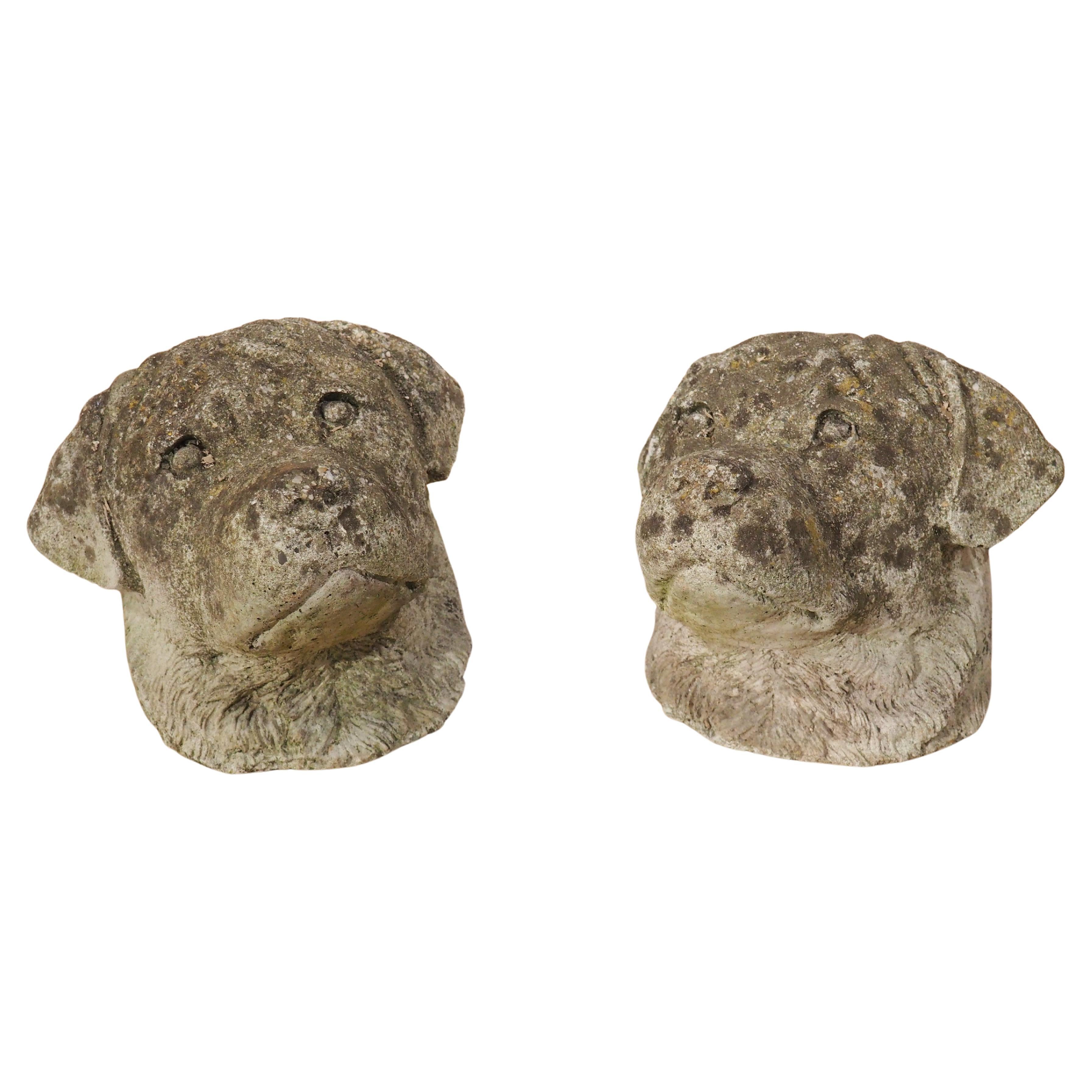 Pair of Cast Stone Dog Heads from England, Circa 1960s For Sale
