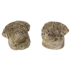 Vintage Pair of Cast Stone Dog Heads from England, Circa 1960s