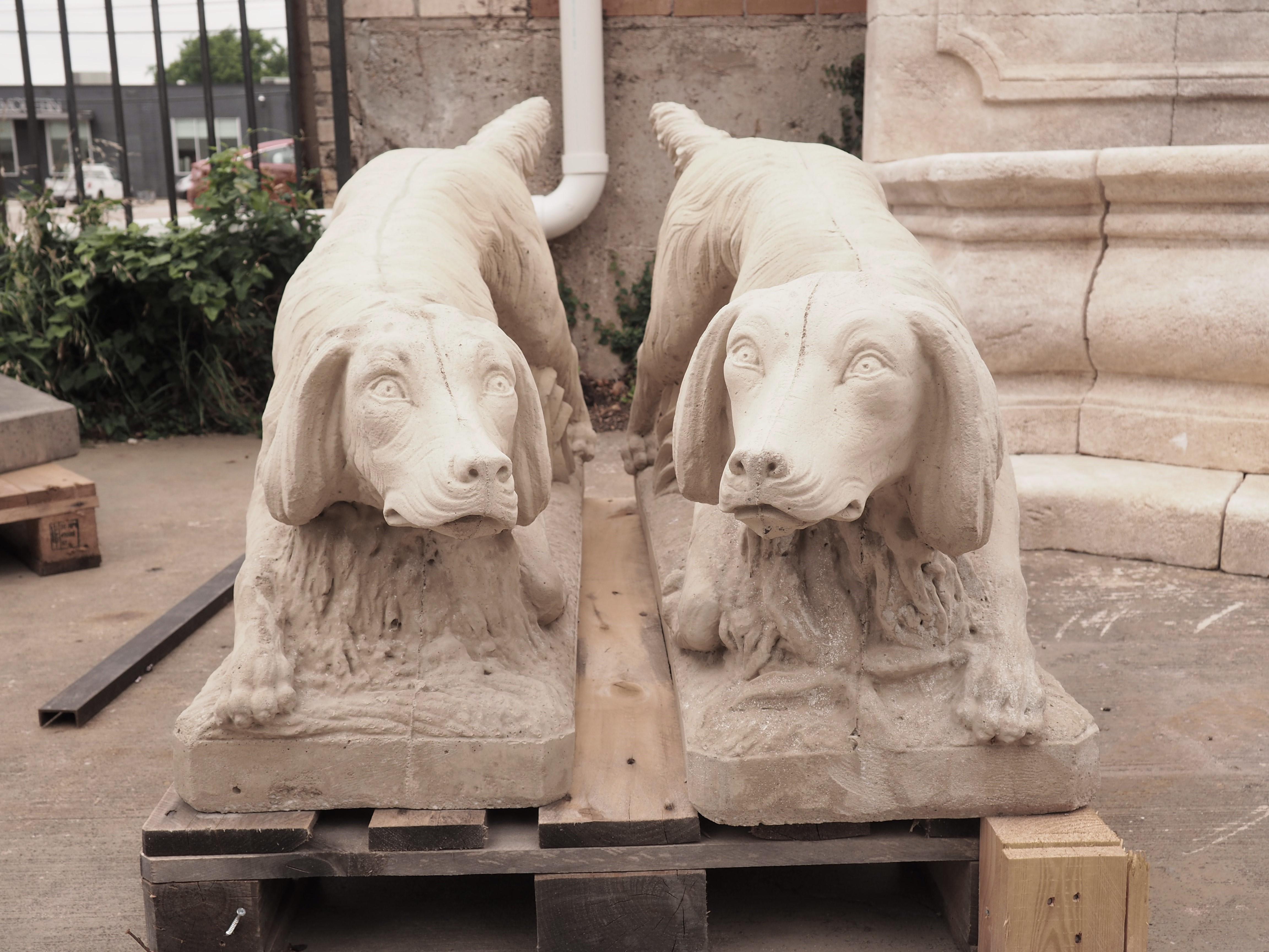 Cast using reconstituted stone and cement, this pair of dog statues has a light sandstone finish. Reconstituted stone is organic stone that has been crushed into small pebbles. These fragments are then combined with a binding agent like cement.