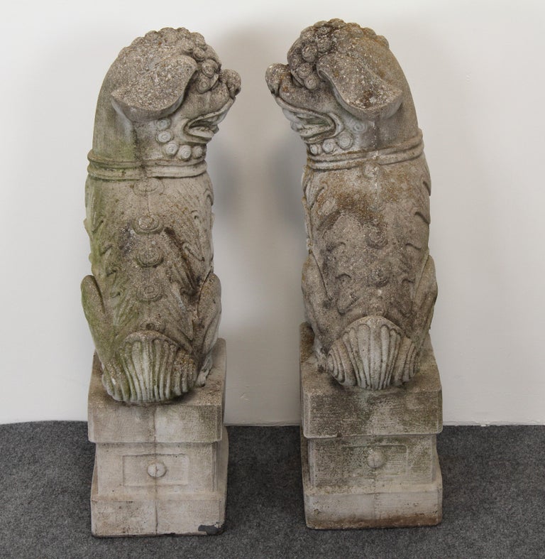 Pair of Cast Stone Foo Dogs Garden Statues, 1960s For Sale at 1stdibs