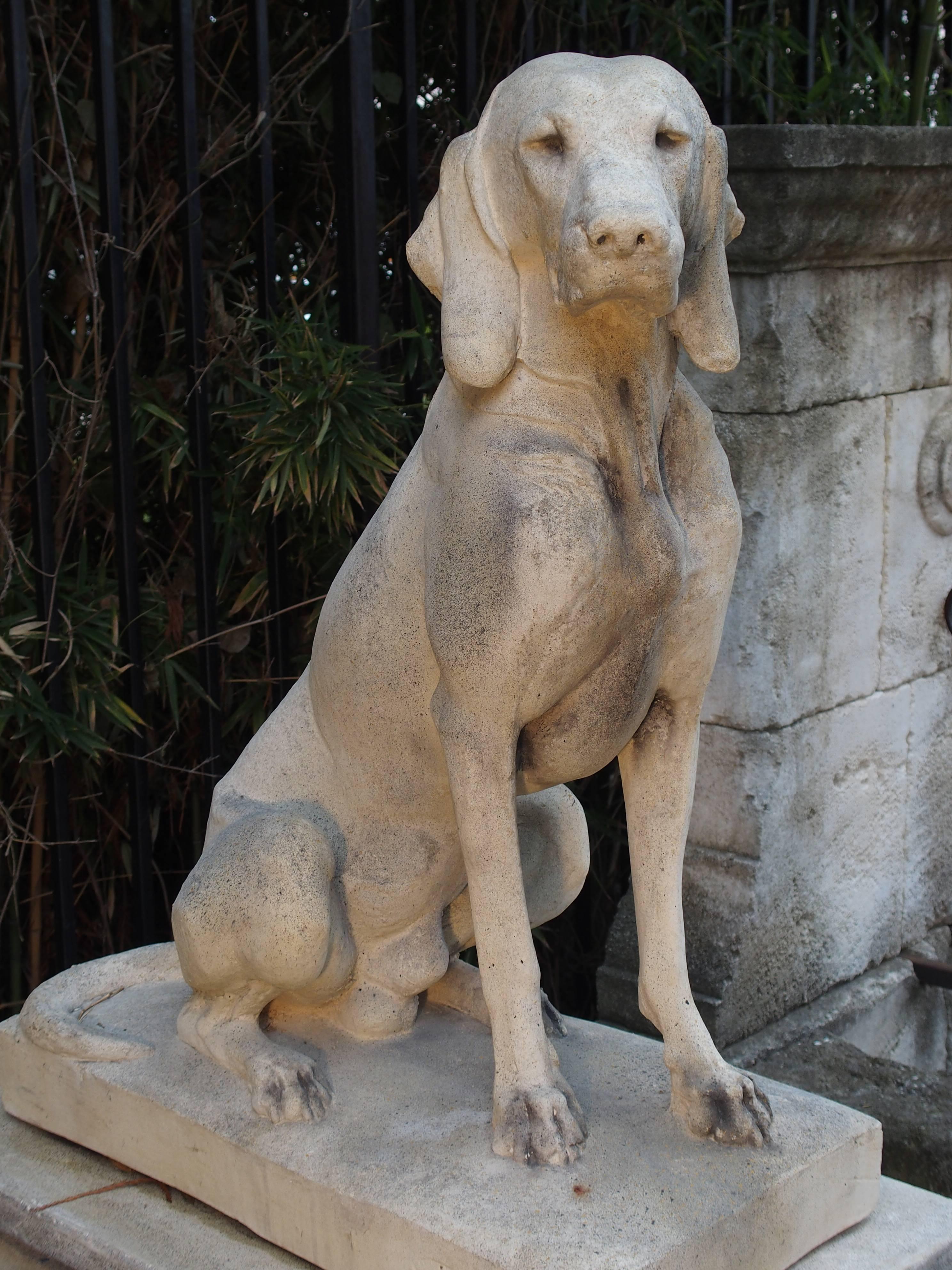 This is a pair of reconstituted cast stone hunting dog statues with matching three-piece pedestals. Unlike other dog statues on the market, these have incredible lifelike detail due to the fact they are from a mold that is a direct cast from a 140 +