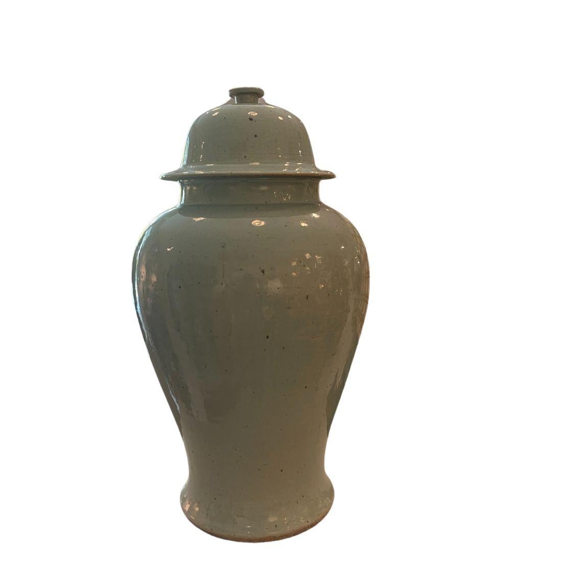 Questa coppia di vasi di zenzero celadon presenta un design elegante e senza tempo. Ogni vaso è realizzato in ceramica con uno smalto verde celadon morbido e traslucido, che conferisce una finitura liscia e lucida. La classica silhouette curva,