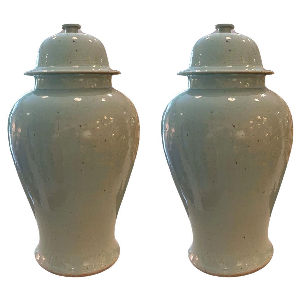 Coppia di vasi per lo zenzero in Celadon in vendita