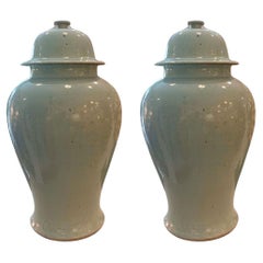 Paire de pots à gingembre en vase céladon