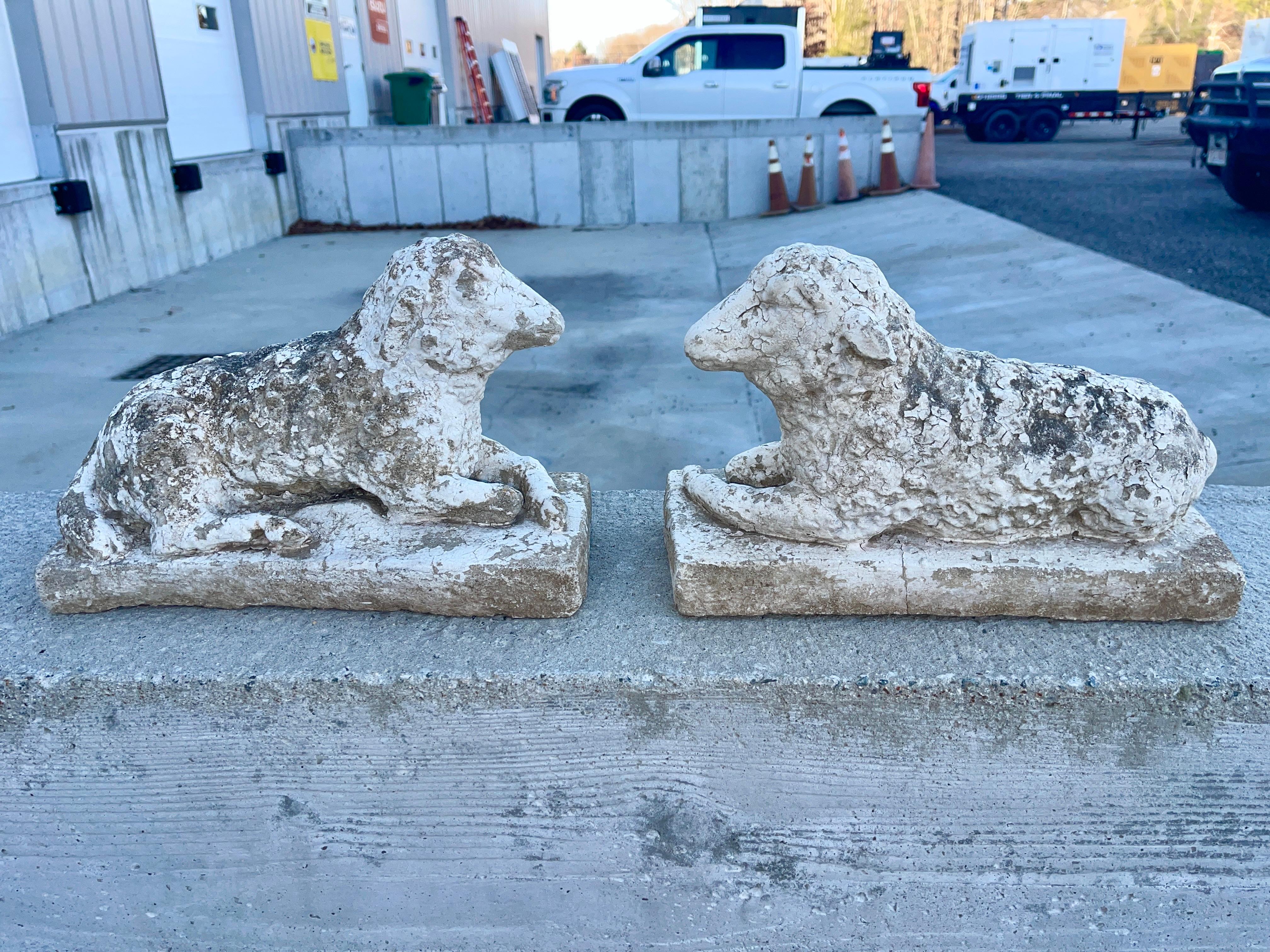 Pareja de corderos de cemento con pintura vieja en Desgastado estado para la venta en Hanover, MA