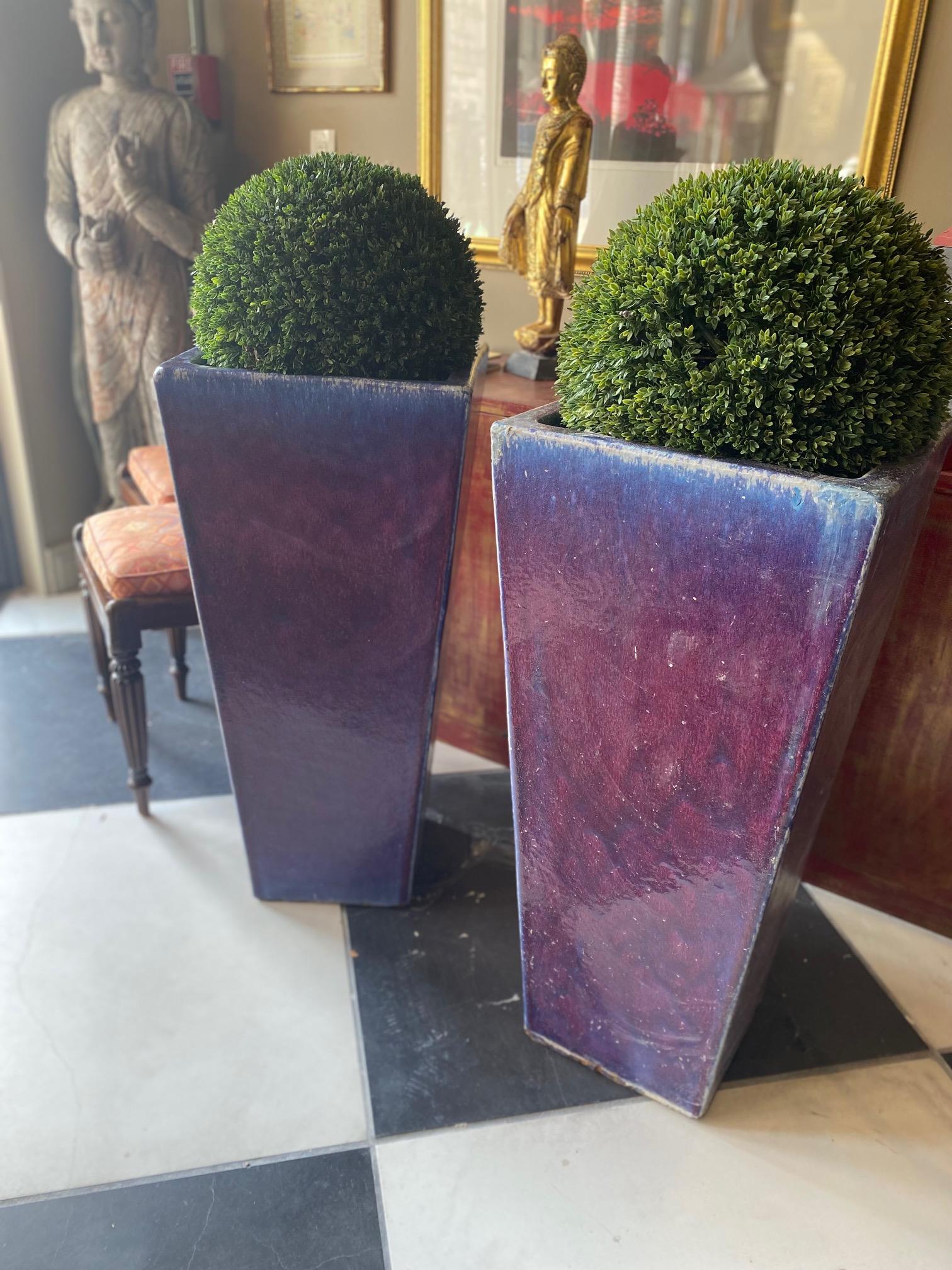 purple ceramic plant pots