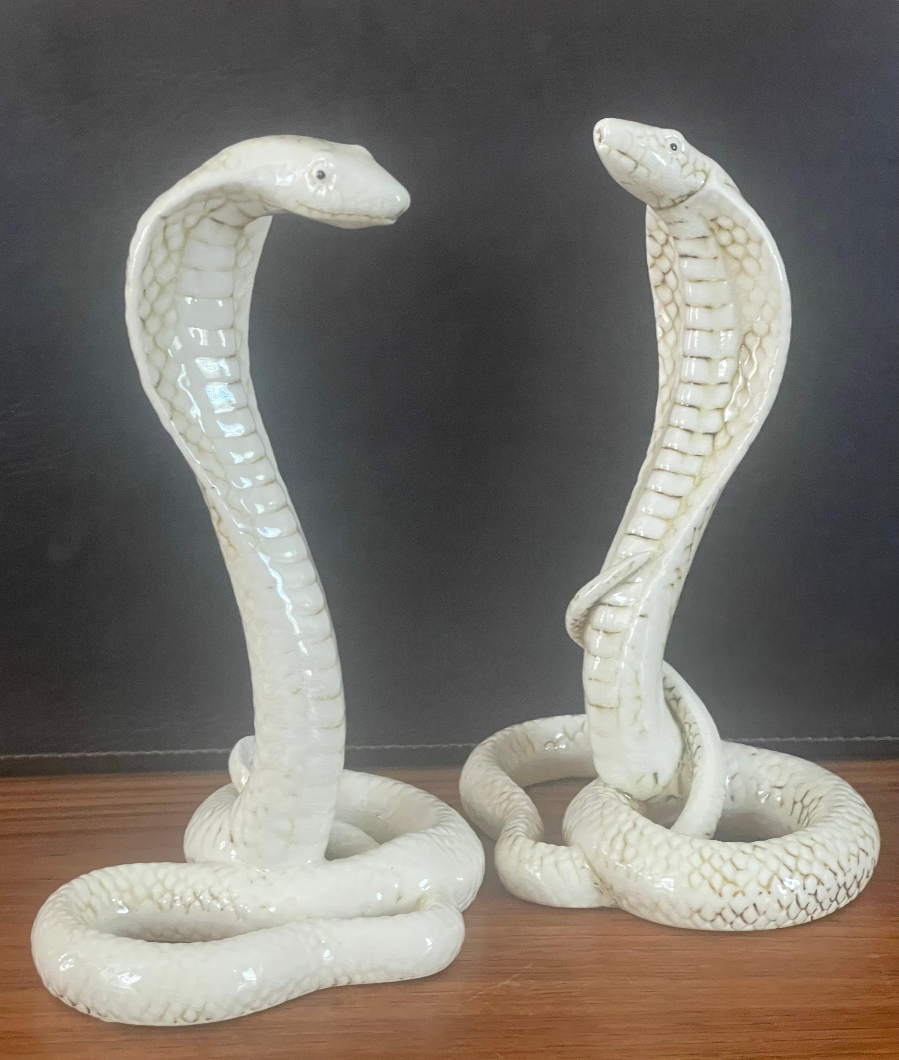 white cobra snake