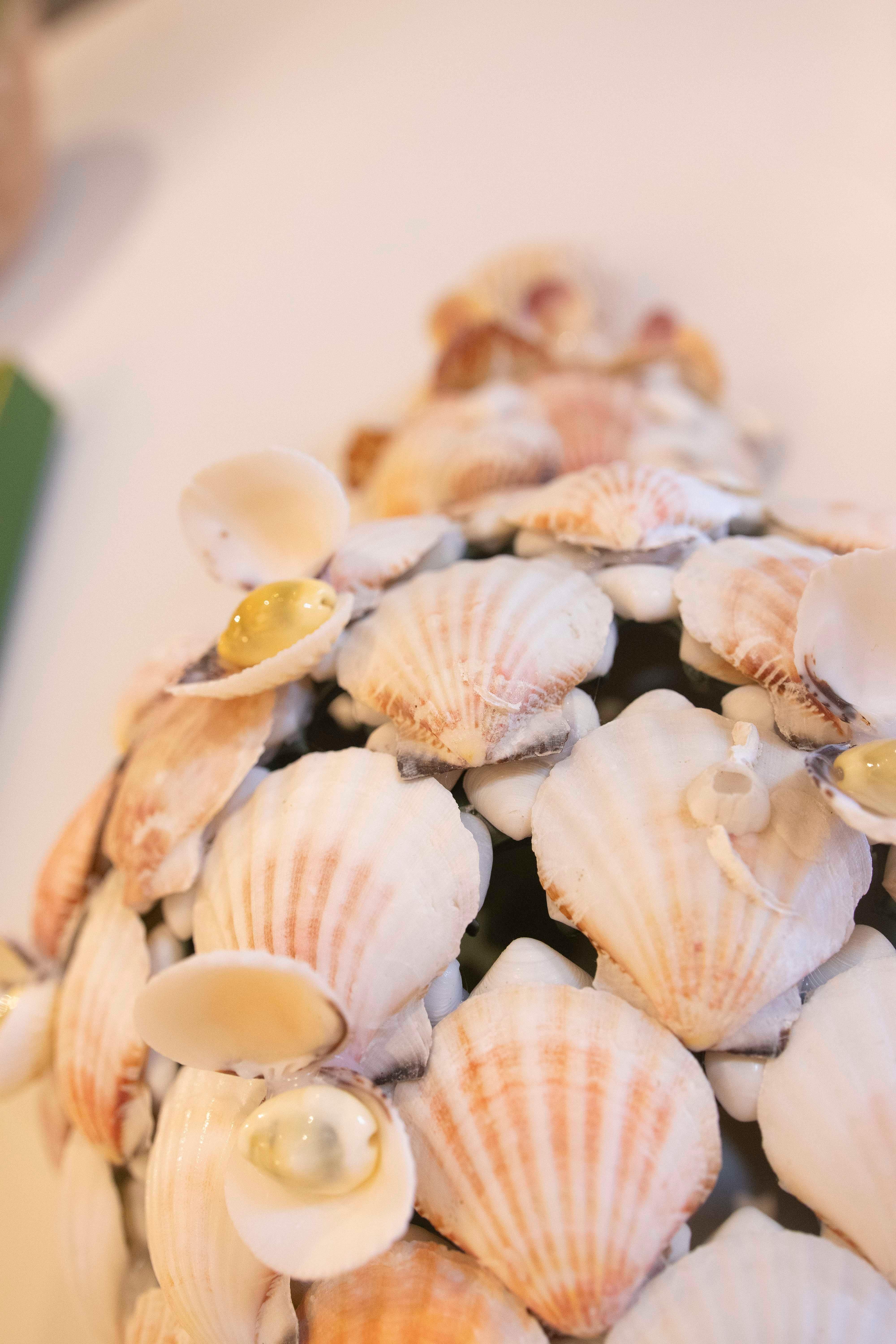 Pair of Ceramic Sconces Covered with Natural Shells in vendita 9