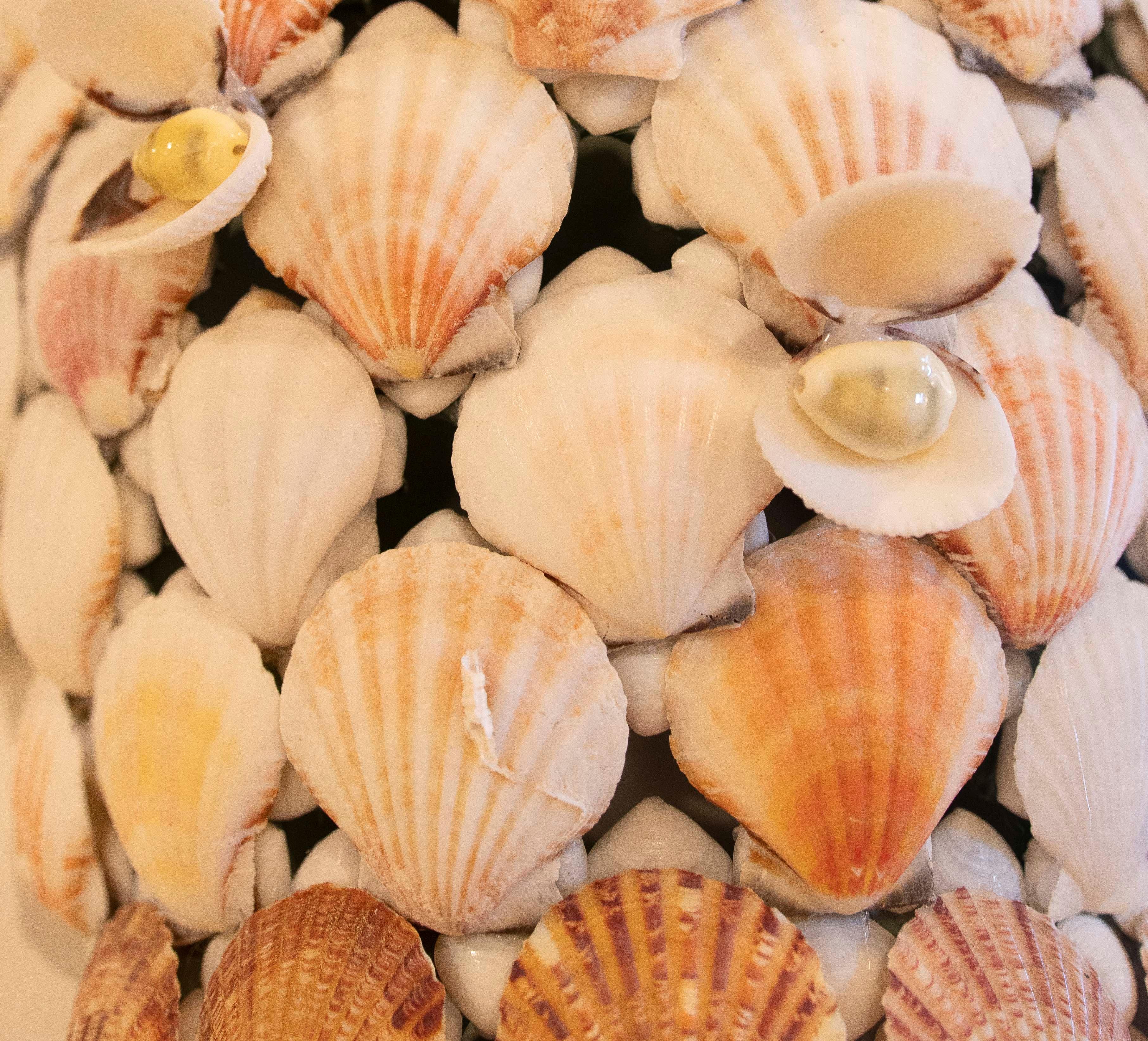 Pair of Ceramic Sconces Covered with Natural Shells in vendita 1