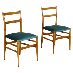 Pair of Chairs Gio Ponti Ash Tree Foam Velvet, 1950s-1960s