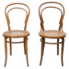 Used Pair of Chairs in the Style of Thonet by Unknown Designer, circa 1930