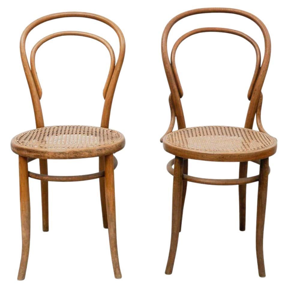 Coppia di sedie nello stile di Thonet di un designer sconosciuto, circa 1930 in vendita