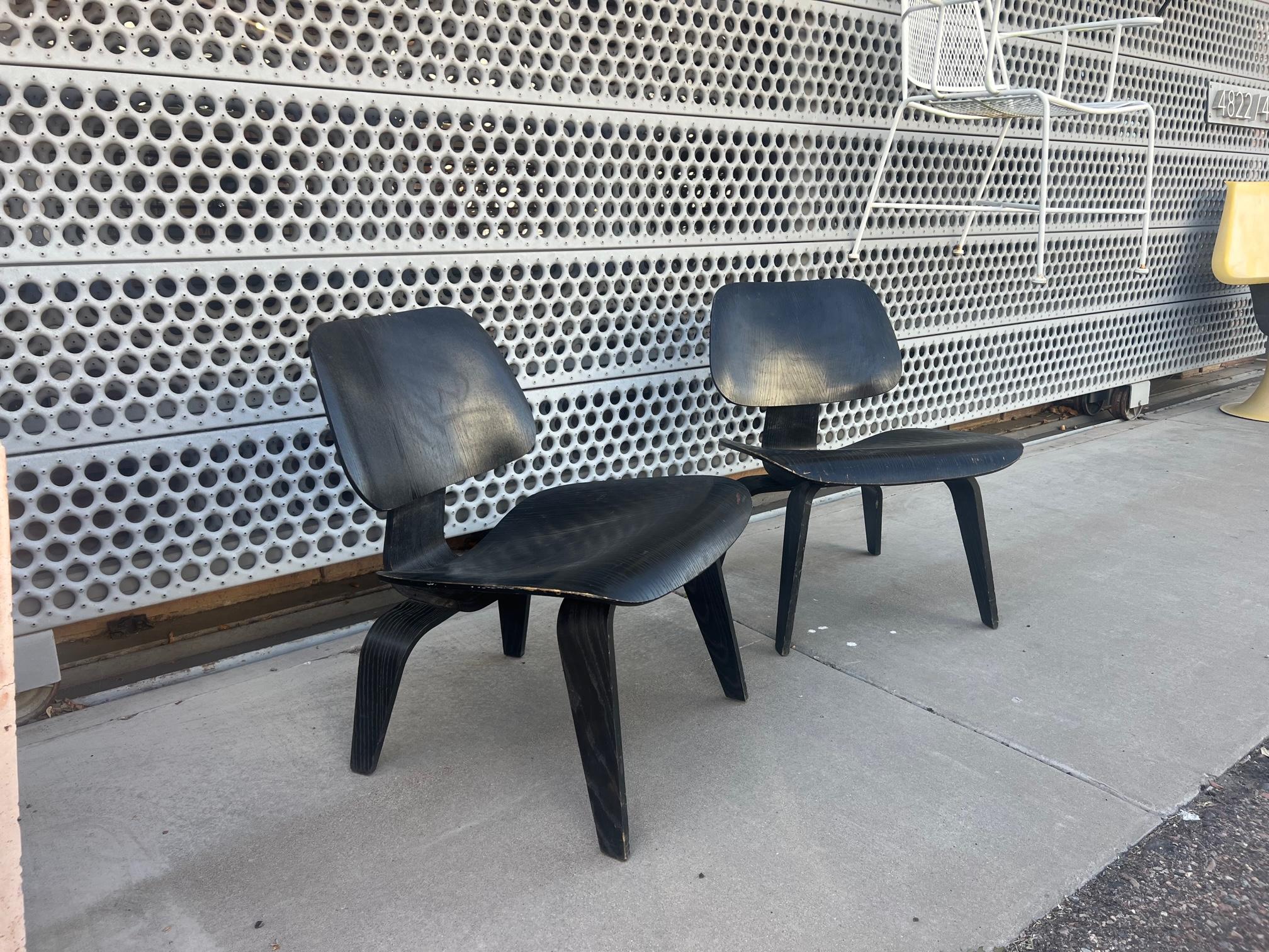 Contreplaqué Paire de chaises longues Charles and Ray Eames, LCW, circa 1960 en vente
