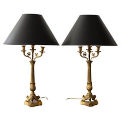 Pair of Charles X Gilt Bronze Lamps