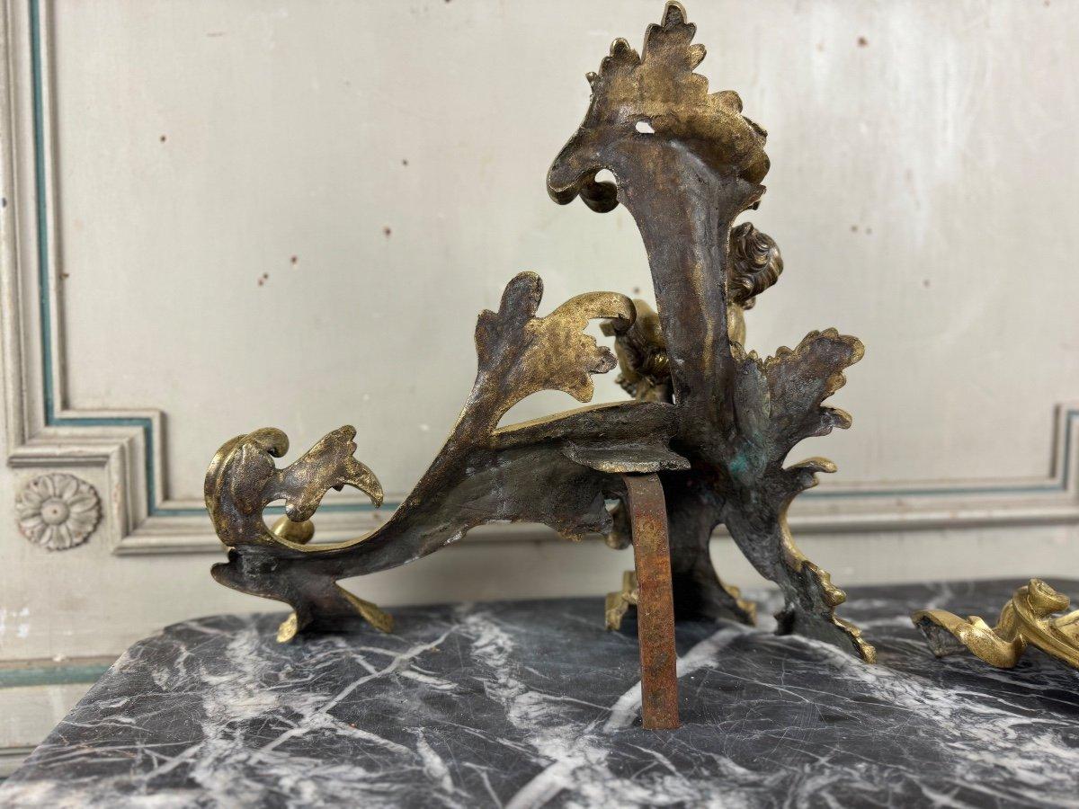 Coppia di Chenêts in bronzo cesellato e dorato su modello di Jacques Caffieri, Parigi XIX secolo