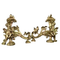 Pareja de chenêts de bronce dorado y cincelado según un modelo de Jacques Caffieri