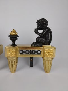 Pair of Chenet Cherubs Andirons