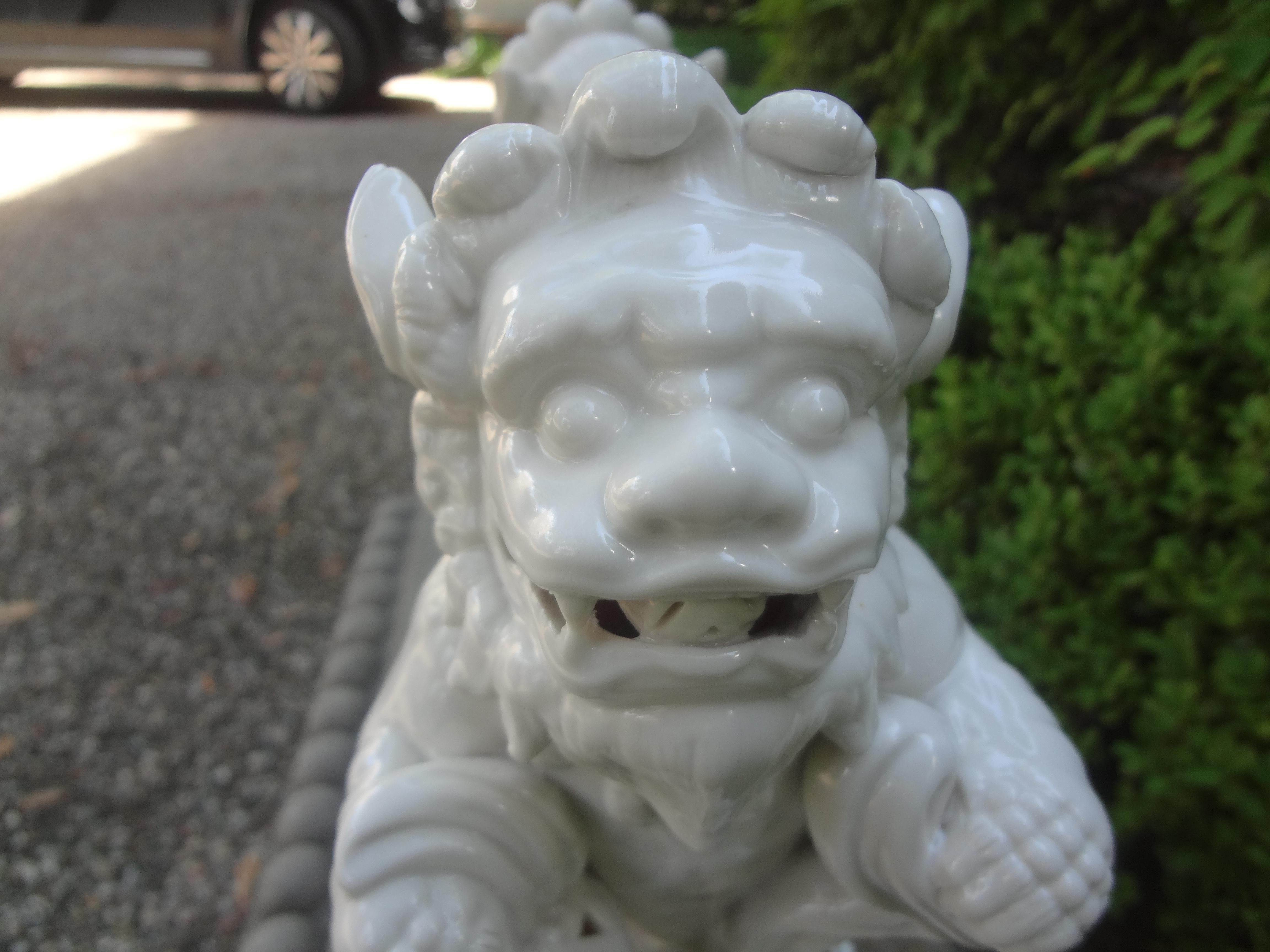 Pair of Chinese Blanc De Chine Foo Dogs 4