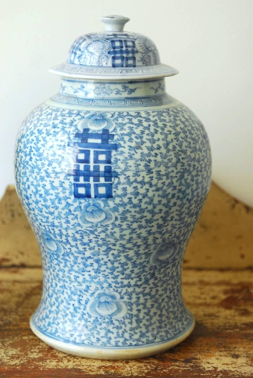 blue and white ginger jar vases