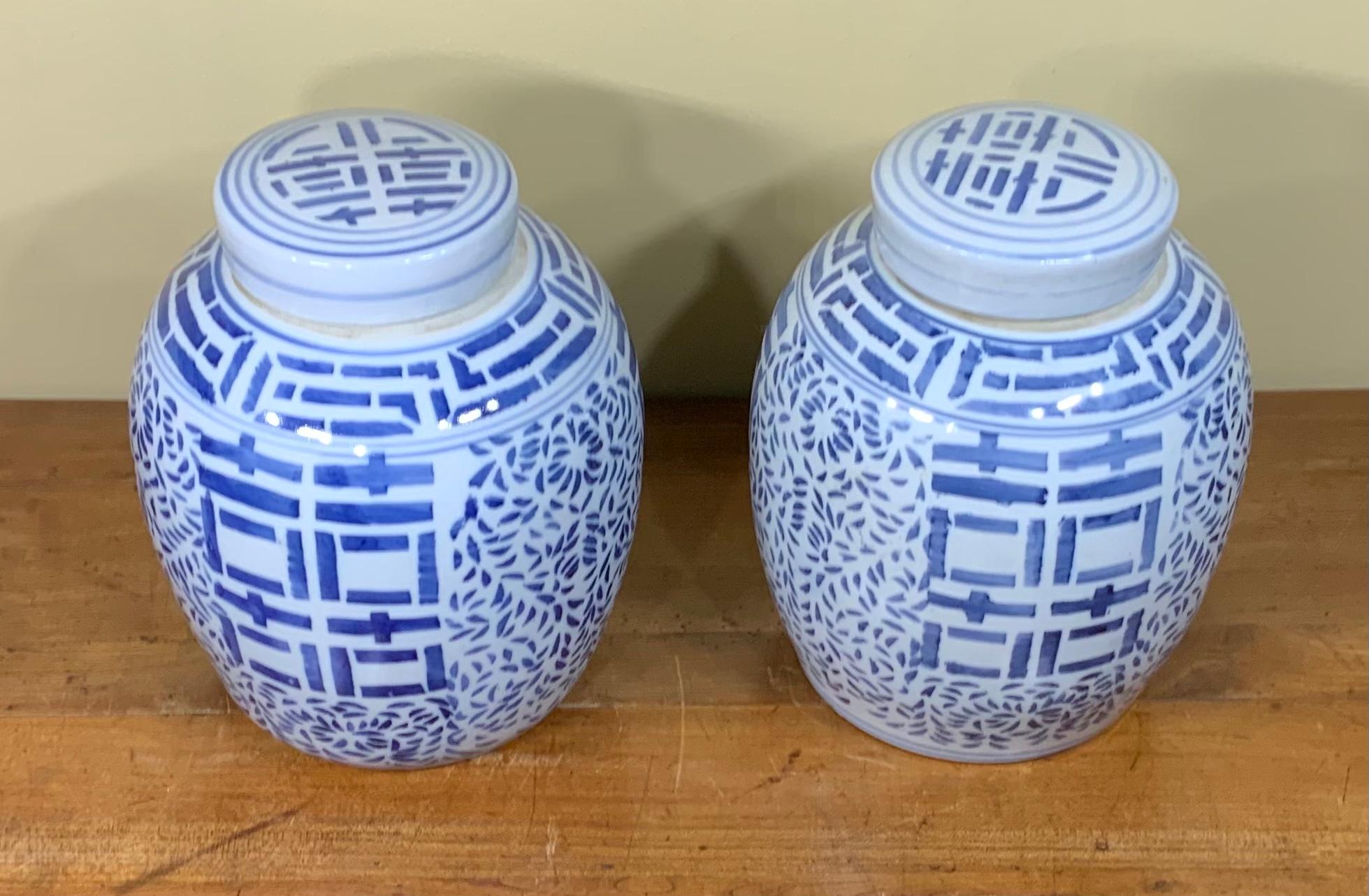 Pair of Chinese Blue and White Hand Decorated Porcelain Ginger Jar, 20th 2