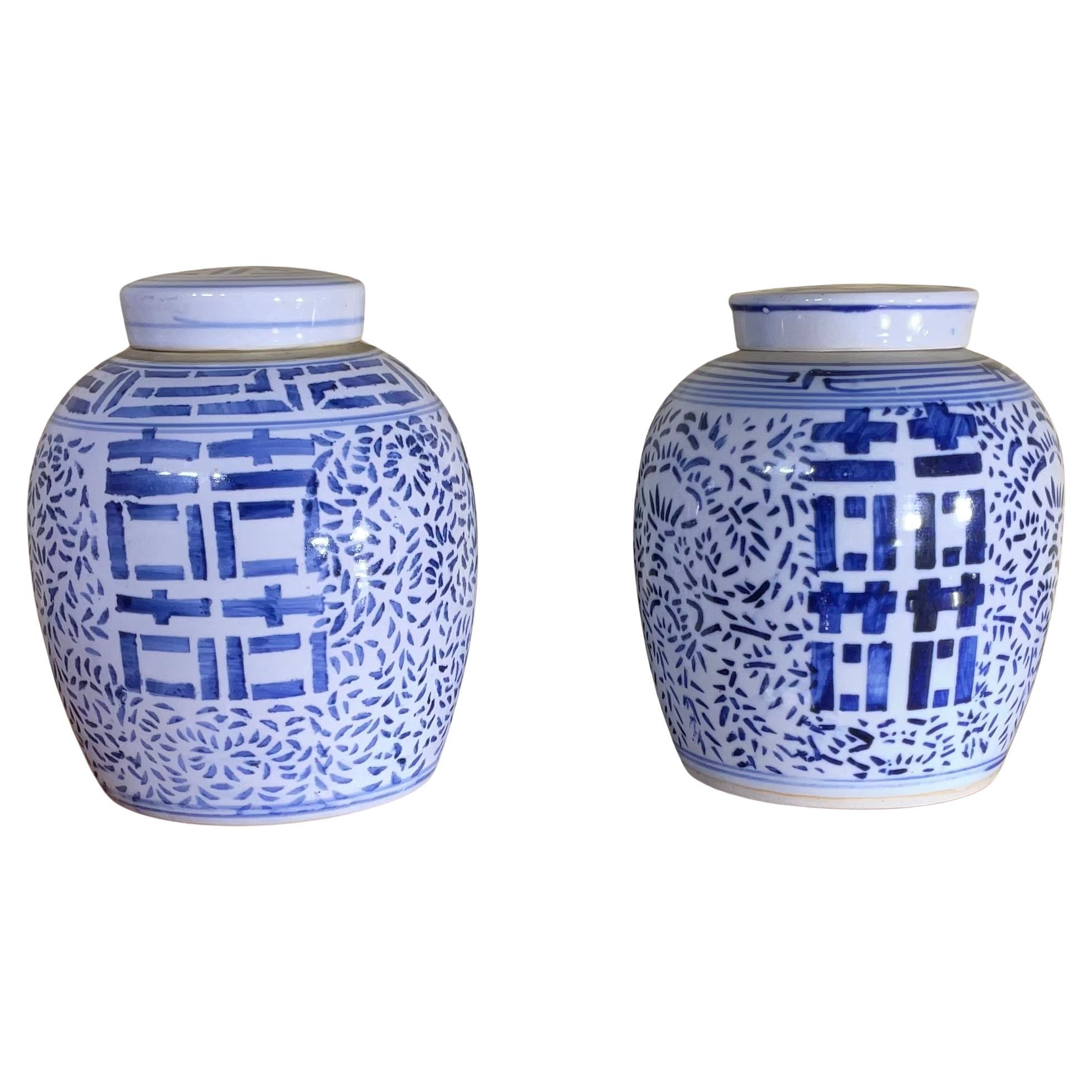 Paire de pots à gingembre chinois en porcelaine bleu et blanc décorés à la main, 20ème siècle