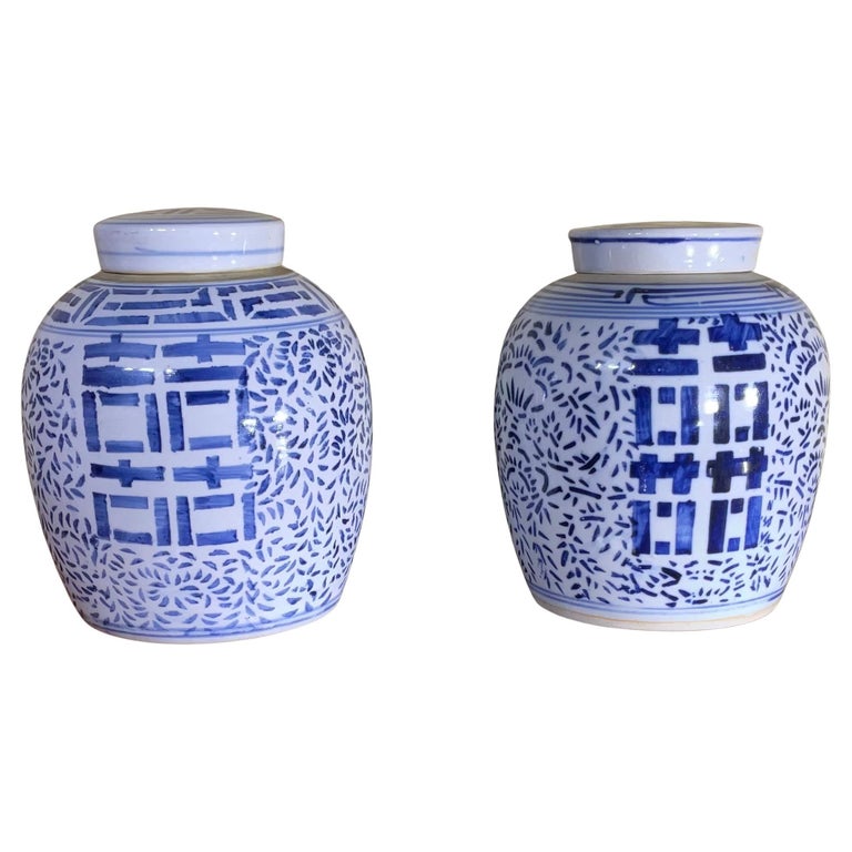 Paire de pots à gingembre chinois en porcelaine bleu et blanc décorés à la  main, 20ème siècle En vente sur 1stDibs