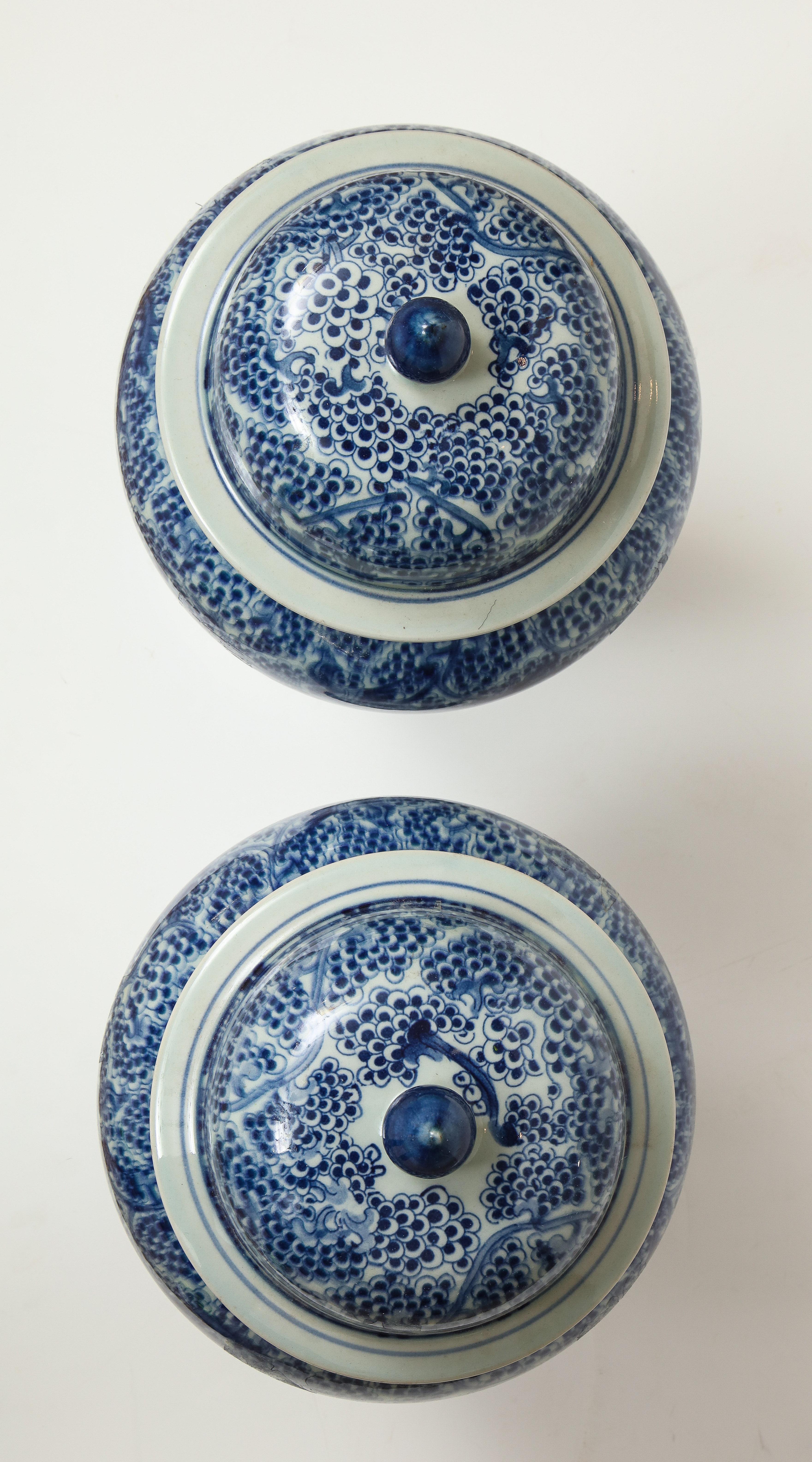 Pair of Chinese Blue and White Jars with Lids 6