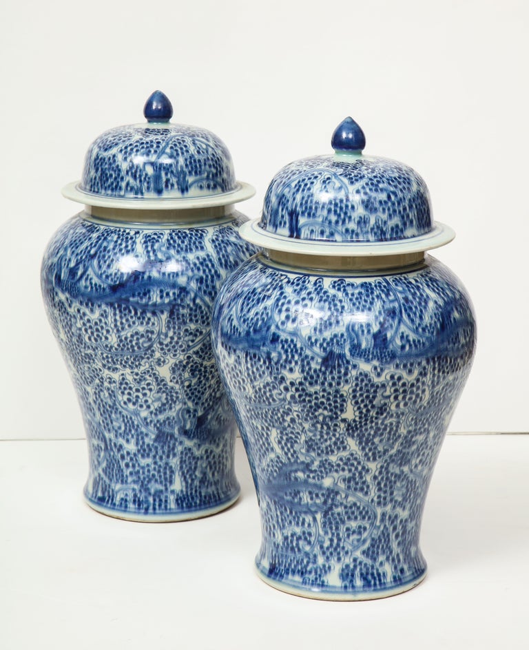 Pair of Chinese Blue and White Jars with Lids at 1stDibs