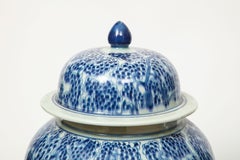 Pair of Chinese Blue and White Jars with Lids