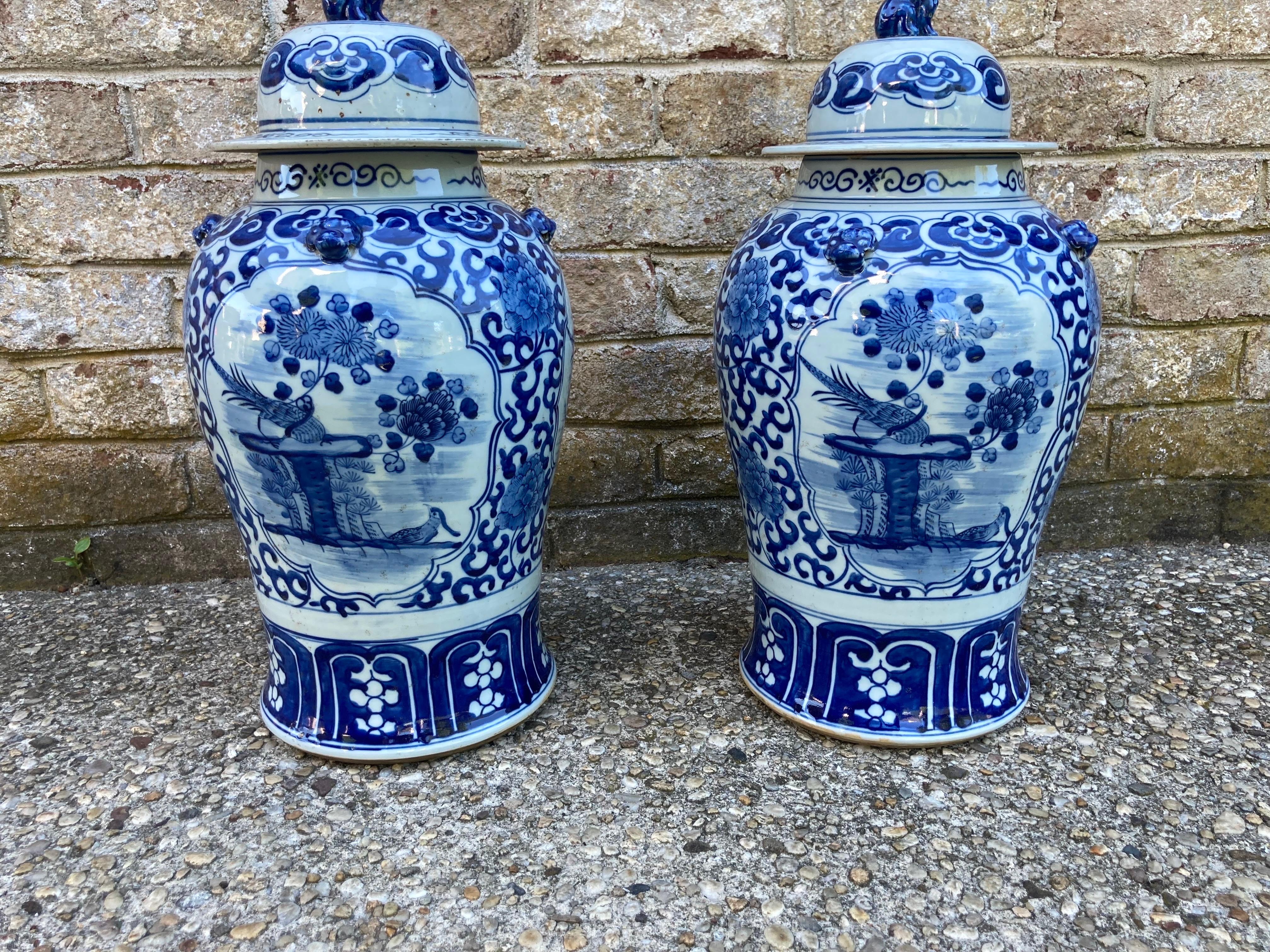 Paire de jarres chinoises bleu et blanc avec couvercles. Chiens de ferme sur les couvercles et oiseaux représentés sur les pots.