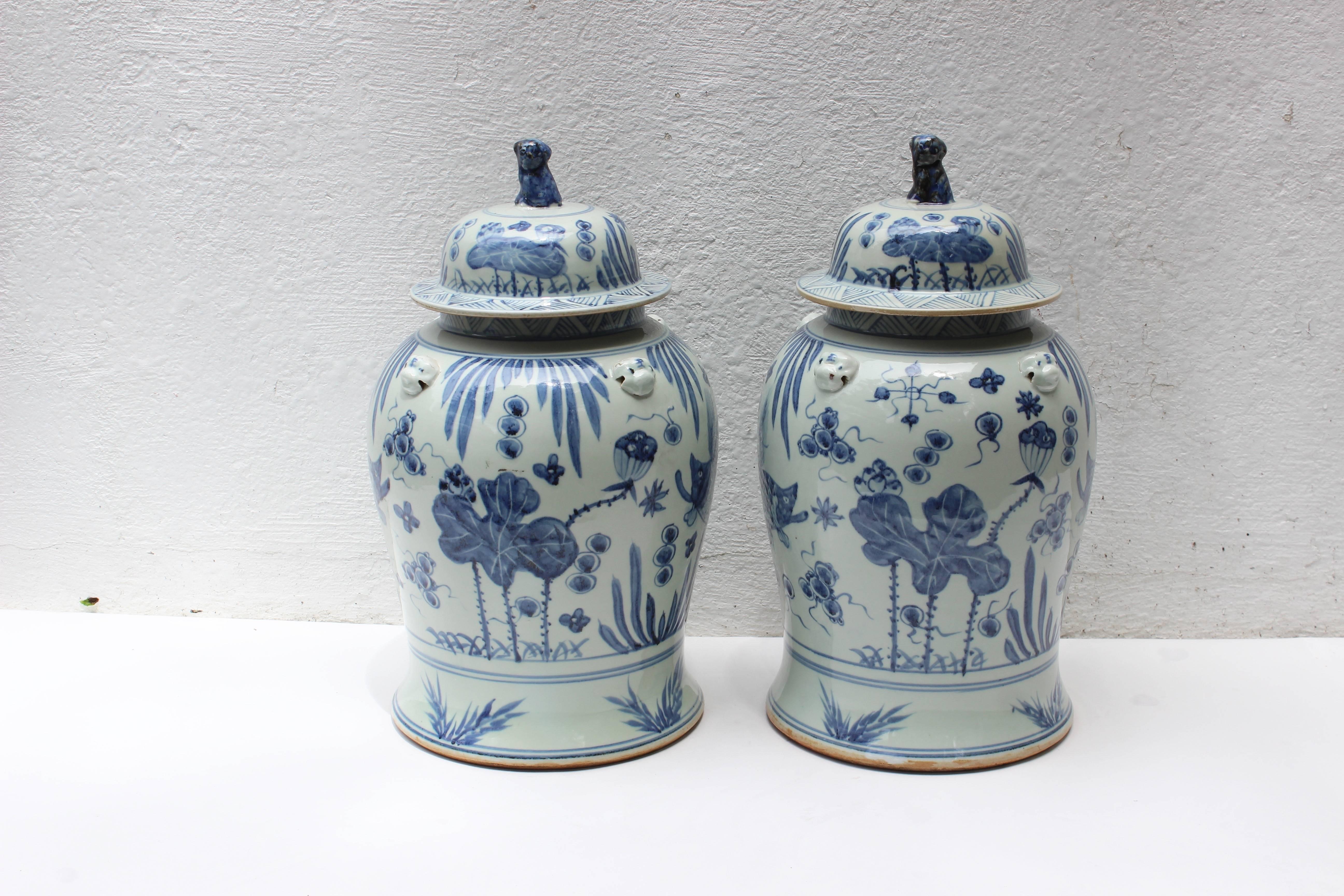 Pair of Chinese blue and white lidded jars with foo dog finials.